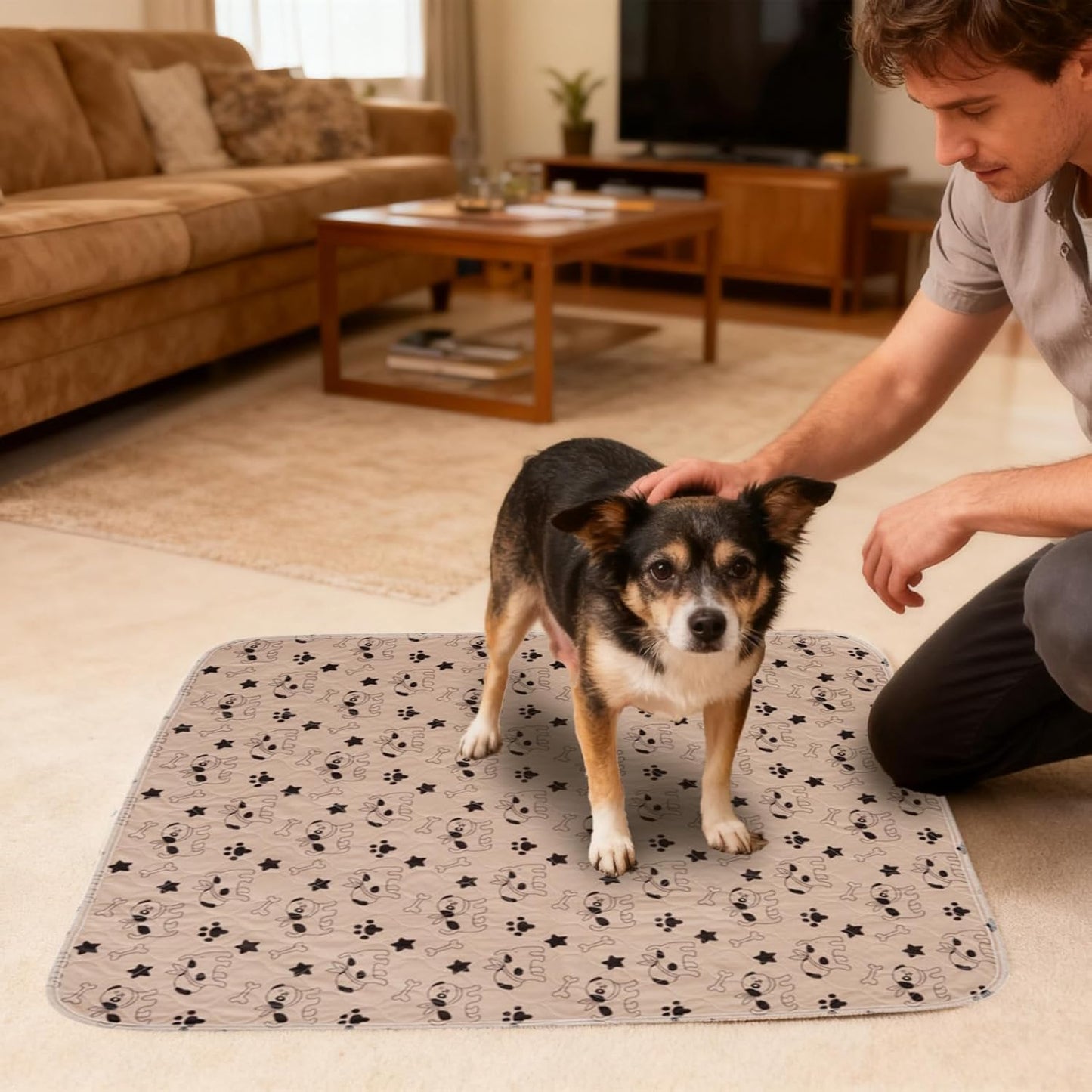 Training Pads – Reusable Pee Mats for Pet Learning | Fast Absorb Core Layers, Washable Multi Use Design, Leak Guard Structure & Indoor Care Features for Cat Potty Practice, Crate Resting, Travel Setup