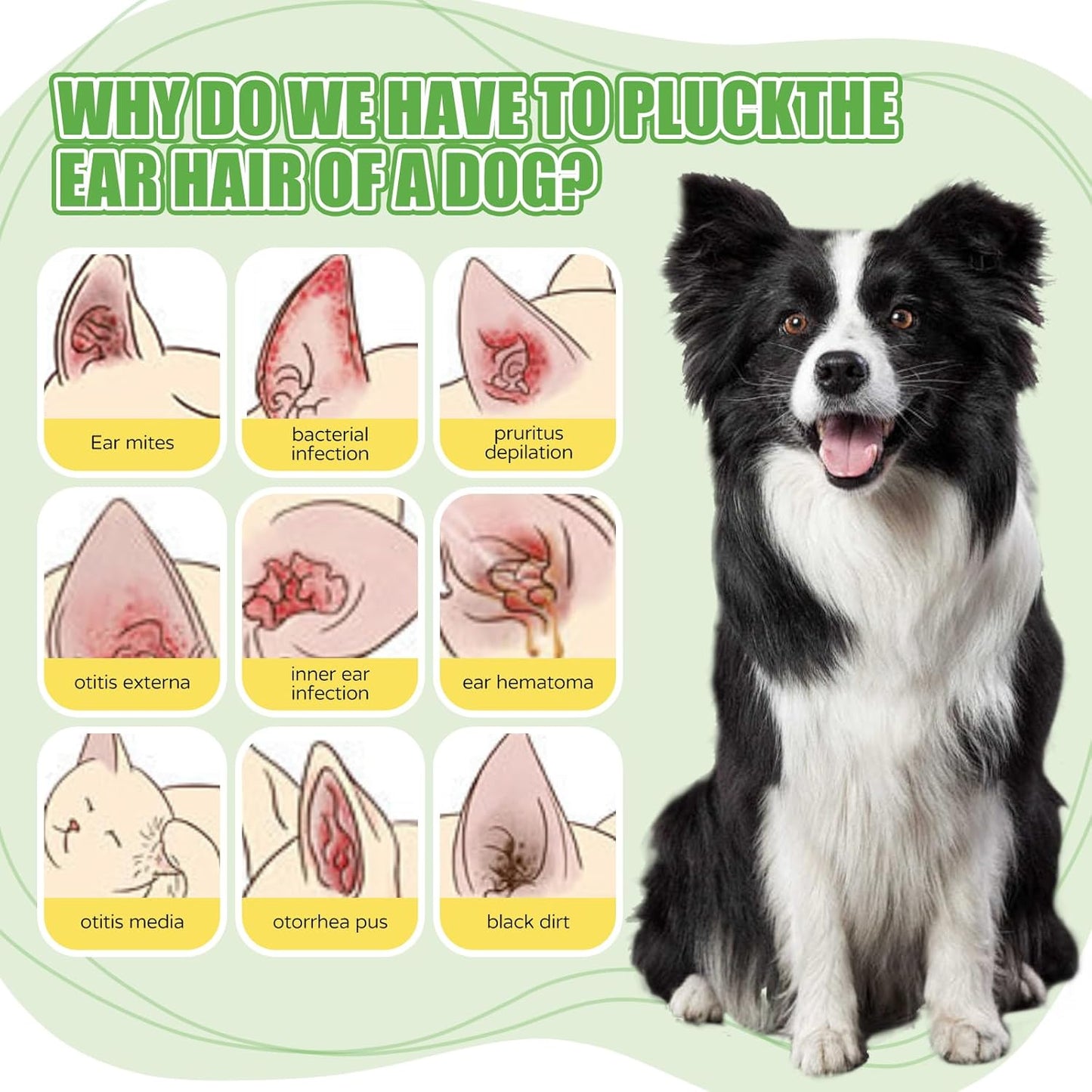 Dog Ear Powder Set, Dog Ear Hair Removal Tool 1.76oz/50g - 5 Inch Hemostat and Petour Paw Trimmer, Dog Ear Powder for Hair Removal - Dog Ear Plucking Tool