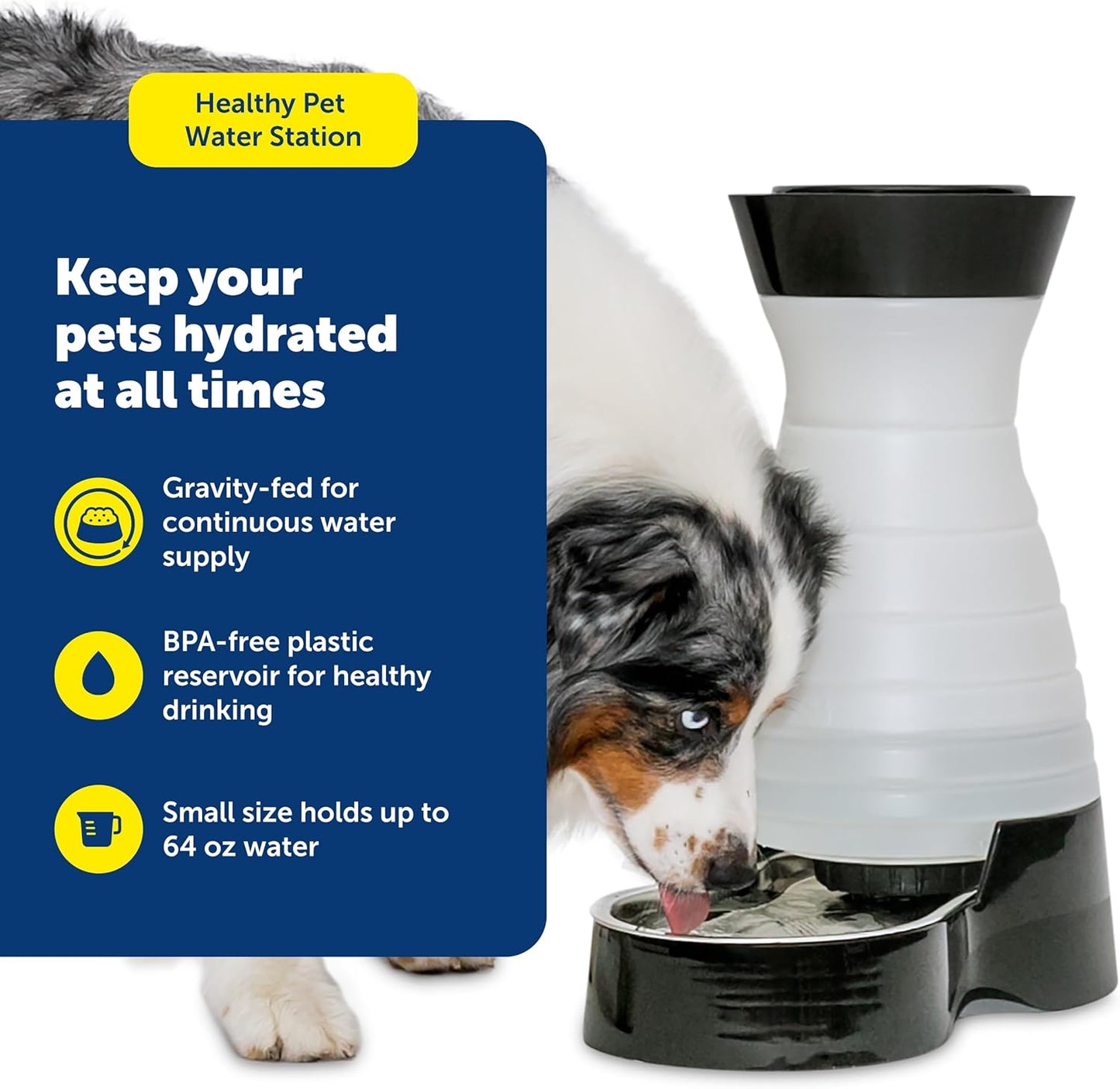 PetSafe Healthy Pet Water Station - Small, 64 oz Capacity - Gravity Pet Water Fountain, Automatic Cat Water Fountain, Dog Water Fountain, Water Dispenser - Removable Stainless Steel Bowl Included