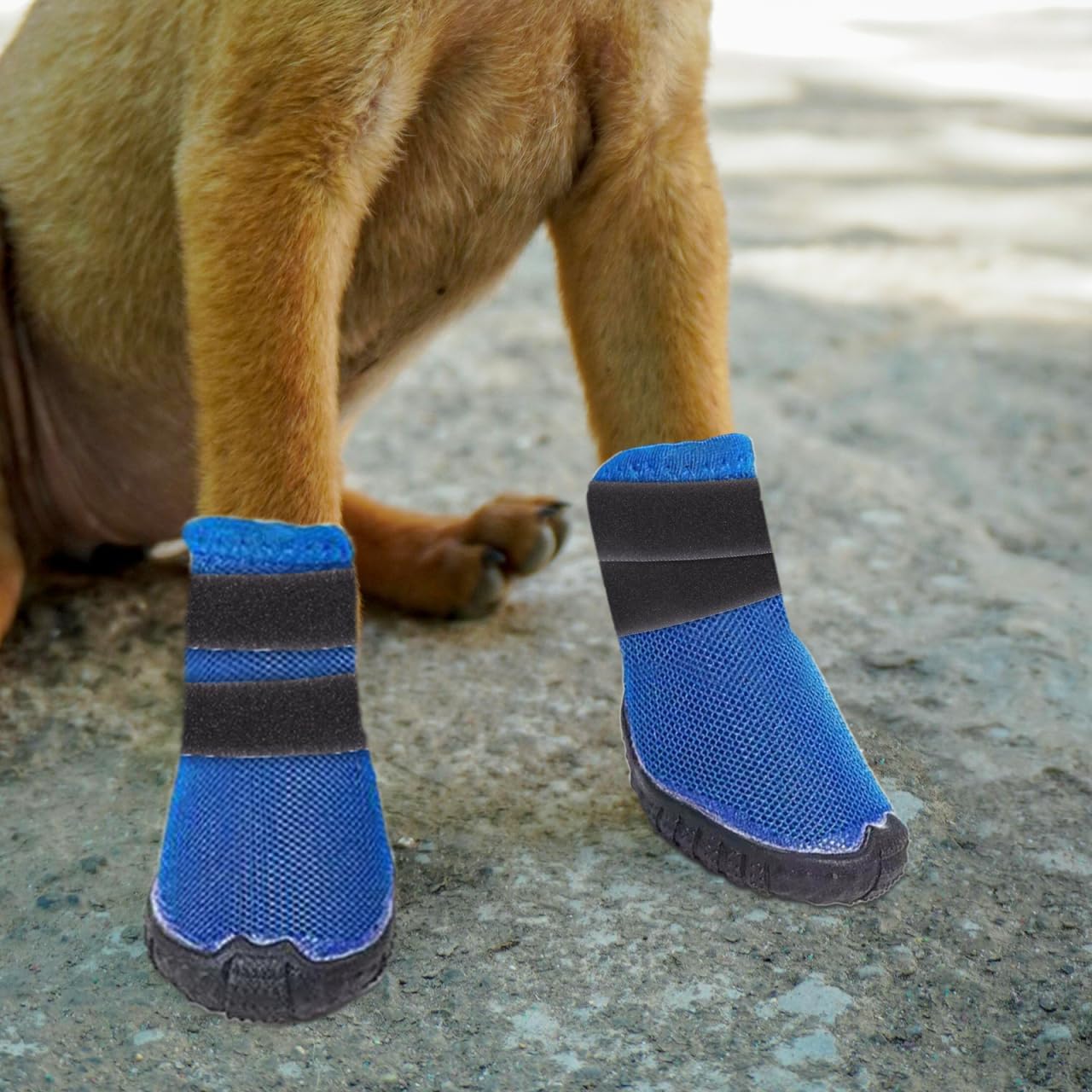 VOSAREA 10pcs Dog Bootie Straps Non Slip Sock Holders Adjustable Paw Protector Bands Non Skid Sock Fasteners Pet Footwear Accessories for Rainy Muddy Outdoor Use