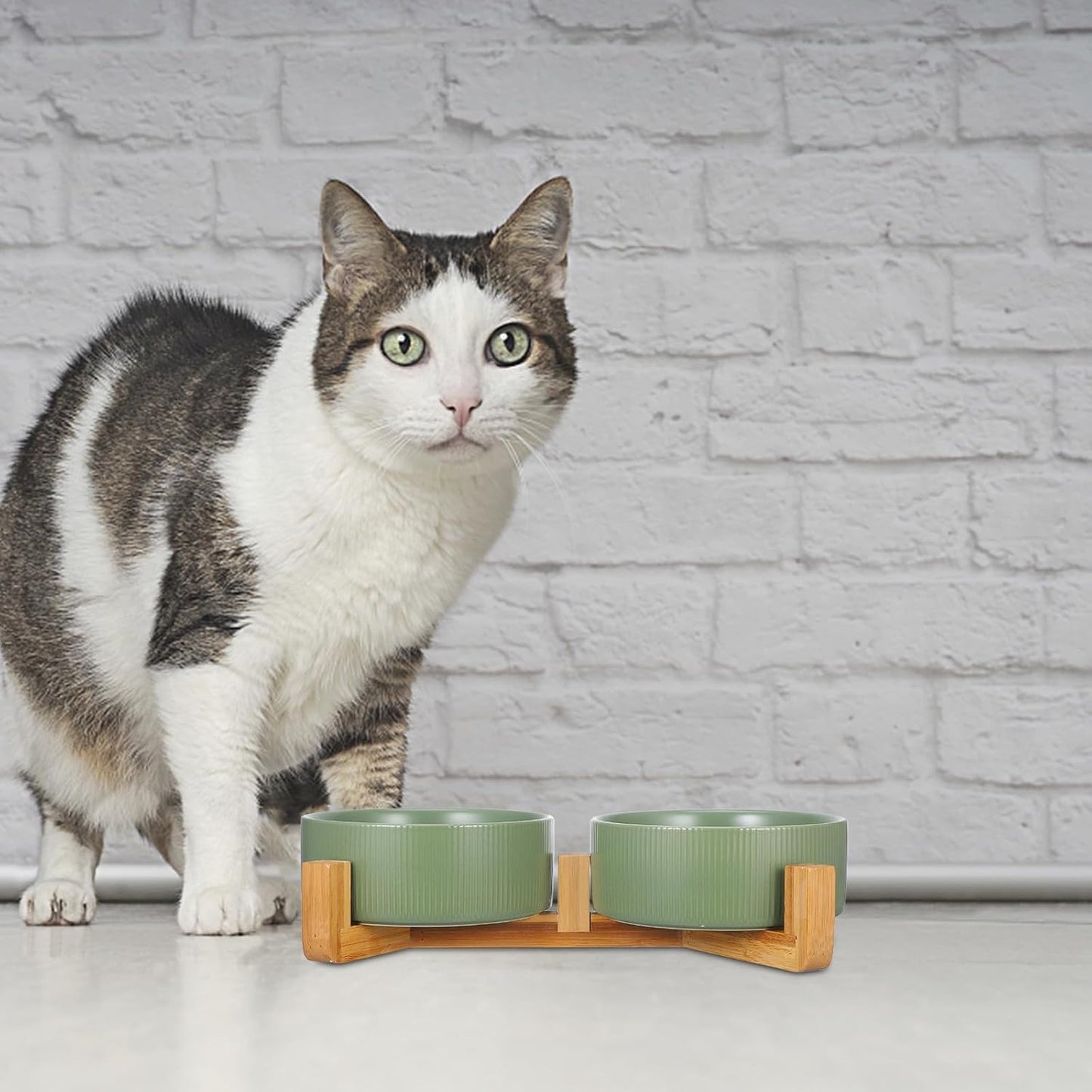 PRETYZOOM Ceramic Pet Bowl with Wood Stand, Double Raised Dog and Cat Feeder Bowls, Matte Green Non-Spill Water and Food Dish for Small to Medium Pets