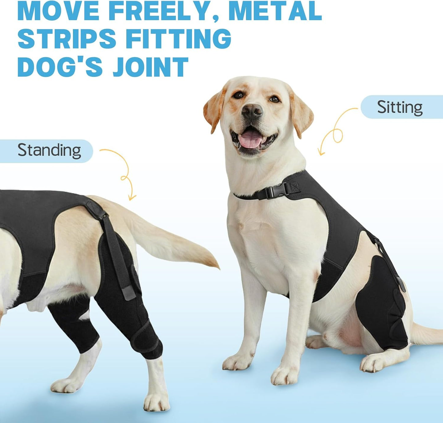 Dog Knee Braces for Back Leg, Adjustable Leg Brace with 2 Stabilizers, Hip Support to Reduces Pain, Ligament Injuries, ACL CCL & Luxating Patella for Small Medium Large Dogs, XL-L