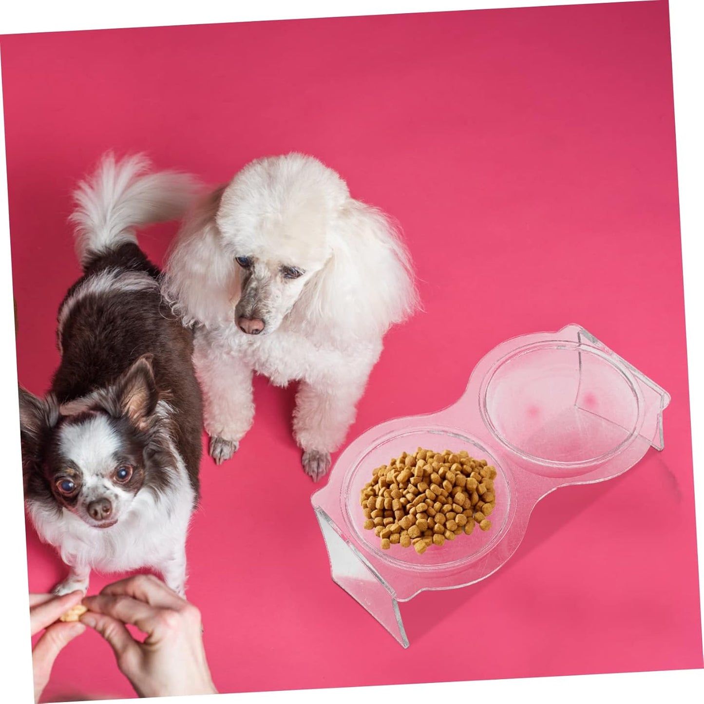 TOYANDONA Elevated Double PET Bowls Acrylic Cat and Dog Food Water Bowl Set Neck Protective Feeding Station for Cats and Kittens Sturdy and Easy to Clean