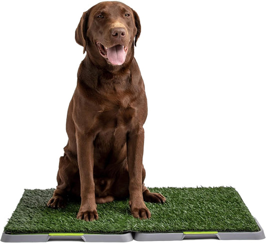 Potty Patch Dog Grass Pad Fake Grass for Dogs to Pee on, Indoor Dog Potty for Dogs Over 15lbs, Grass Pee Pads for Dogs with Tray, Replaces Disposable Puppy Pads (Large), Green, Large: 34" x 27"
