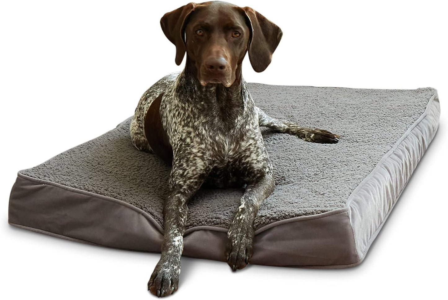 Happy Hounds Oscar Rectangle Orthopedic Foam Sherpa Dog Bed, Medium (42 x 30 in.), Pewter