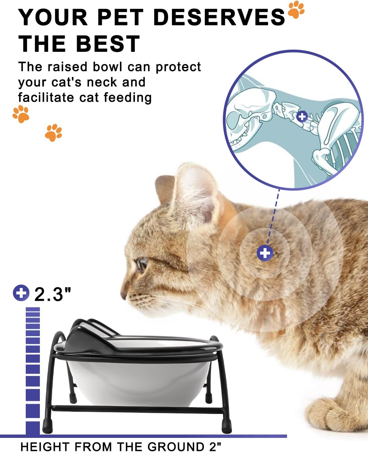 Y YHY Cat Food Bowls, 12 oz Raised Cat Bowls for Food and Water,Ceramic Elevated Pet Dishes Bowls with Stand, Cats and Small Dogs, Dishwasher Safe
