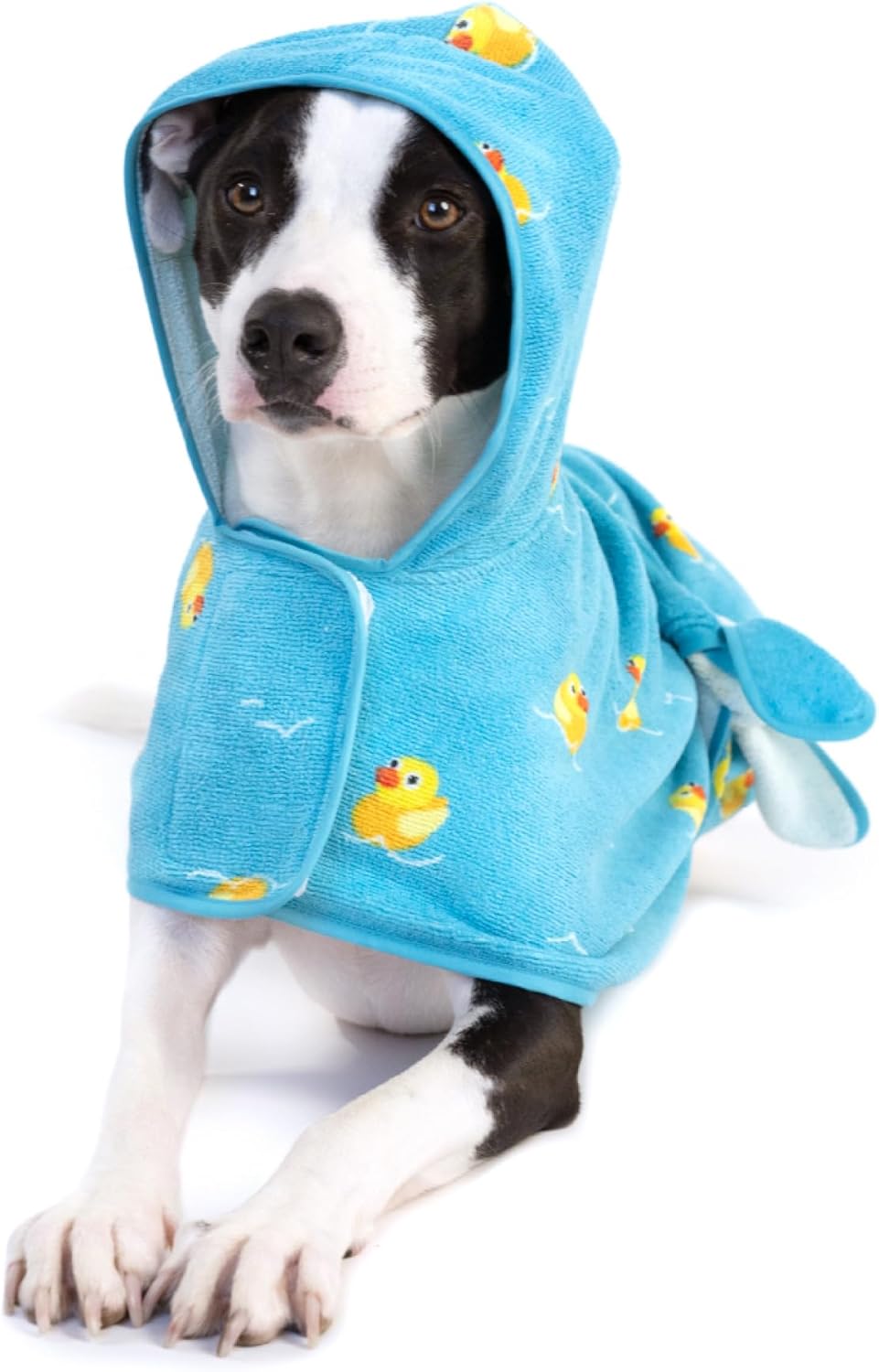 Barkbox Dog Bathrobe Fast Drying with Hook and Loop Closure & Wrap Tie Snuggle, Cute Dogs Clothes, Easy to Clean, Machine Washable, Dog Coats and Tumble Dry Low - Rubber Duck, Medium