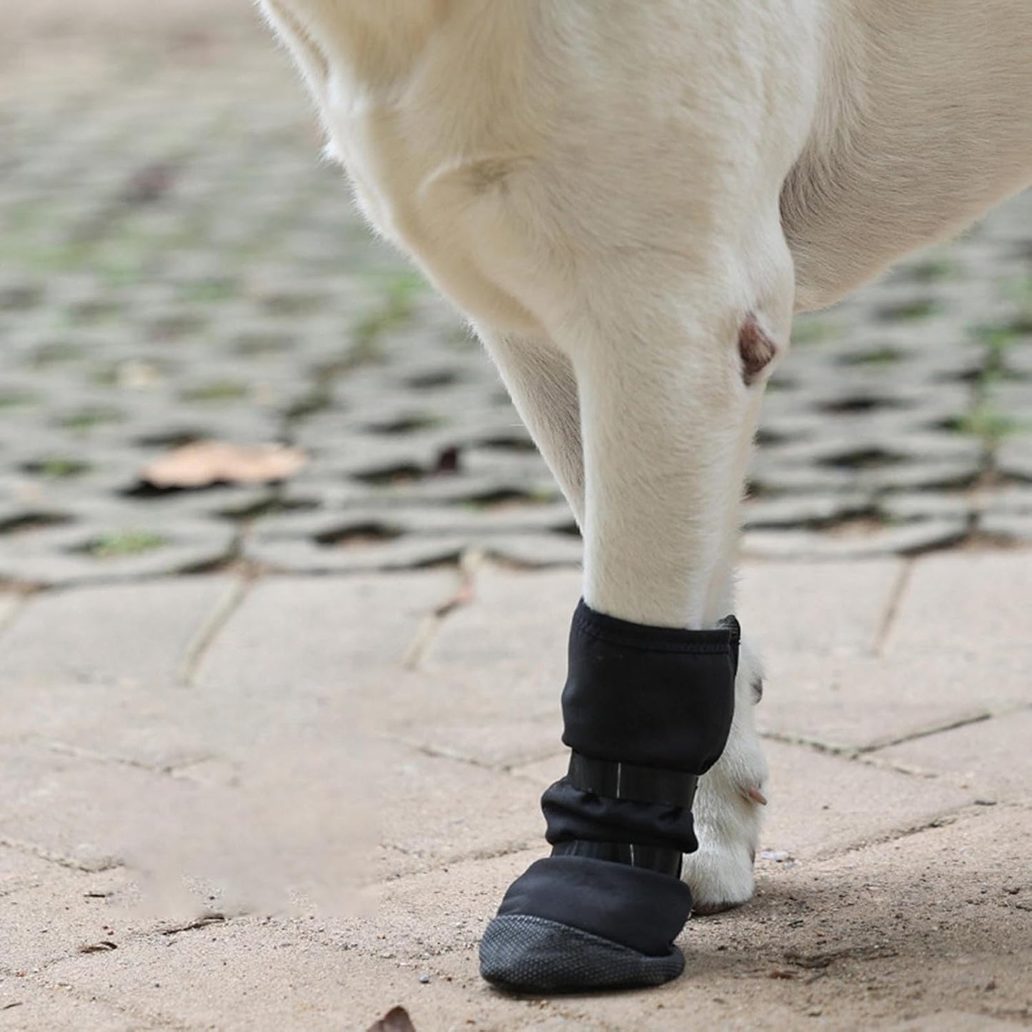 Dog Feet Covers Protective Shoes for Pet with Adjustable Sticker Shoes Dogs Thick Grip Booties with Adjustable Stick Weatherproof Dog Socks