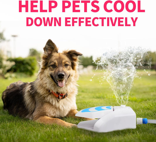 All For Paws Dog Water Fountain, Dog Sprinkler Paw Activated, Outdoor Water Fountain for Dog Drinking, Step On Pet Water Dispenser