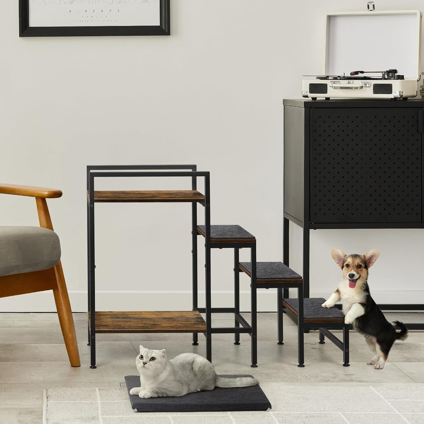 Pet Window Perch with Stairs, Dog Bunk Beds with Stairs, 4 Steps Dog Stairs for High Beds for Small Dogs and Cats