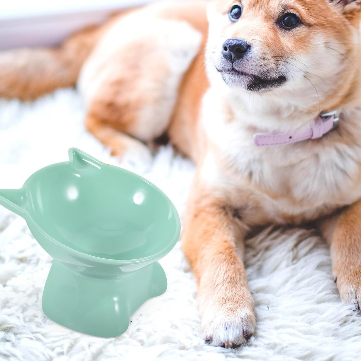 Milisten 2pcs Elevated Cat Feeding Bowls Plastic Raised Pet Food Dishes with Neck Protection Slanted Design for Cats and Small Dogs in Blue Gray and Green