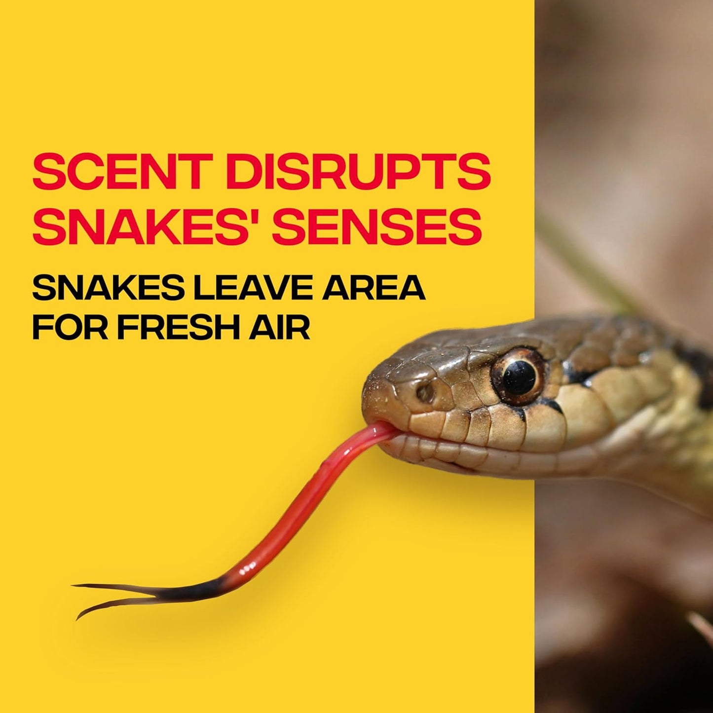Victor VP364B-10 Snake-A-Way Outdoor Snake Repellent For Yard Powerful, Granules 10LB - Repels Against Poisonous and Non-Poisonous Snakes
