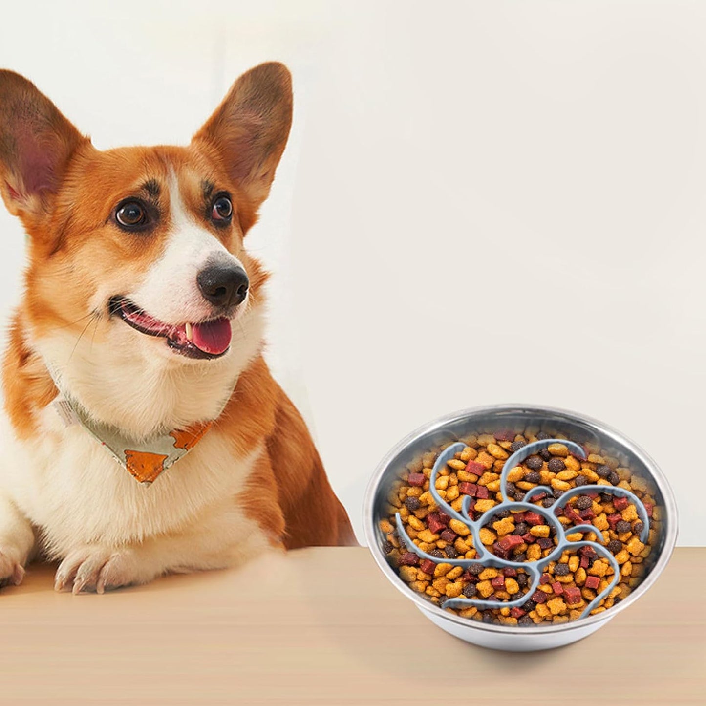 MEWMI&WANGW Slow Feeder Dog Bowls Insert Soft Silicone Slow Eating Pet Food Bowl for Small, Medium and Large Dogs/Cat