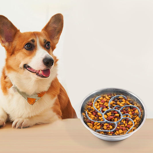 MEWMI&WANGW Slow Feeder Dog Bowls Insert Soft Silicone Slow Eating Pet Food Bowl for Small, Medium and Large Dogs/Cat