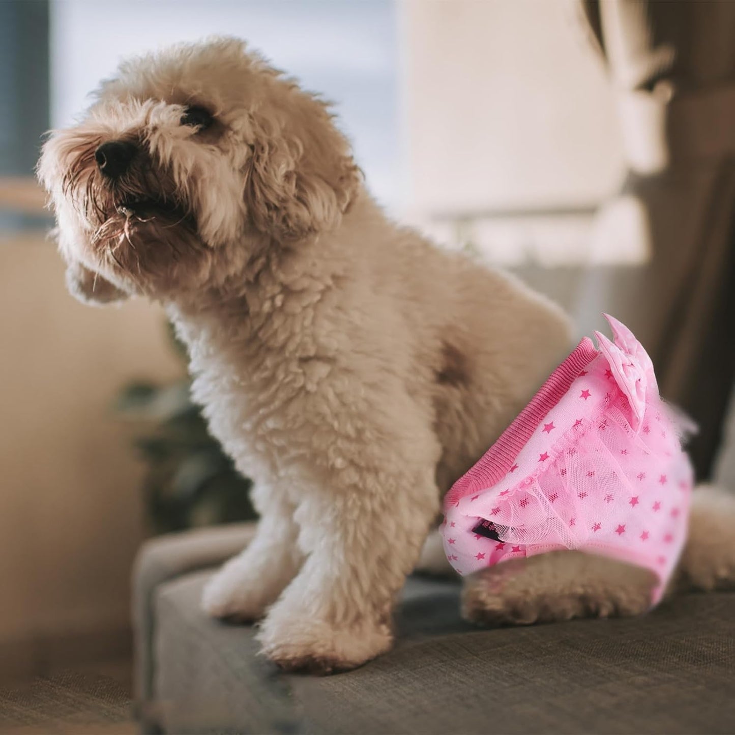 Milisten Pet Dog Period Pants Female Sanitary Diaper Panties Washable Lace Puppy Physiological Pants with Bow Pink M Size for Female Dogs in Heat