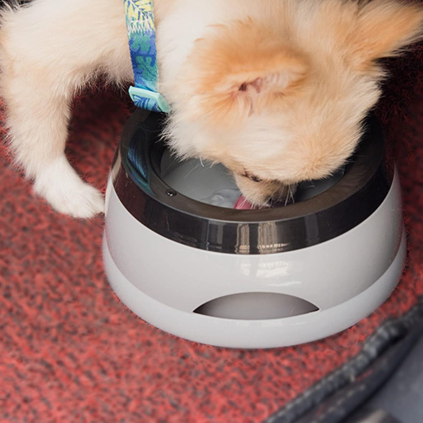 Dog Water Bowl Splash-Free Pet Water Feeders Cats Water Fountains for Car Travel No-Slip Water Dispenser