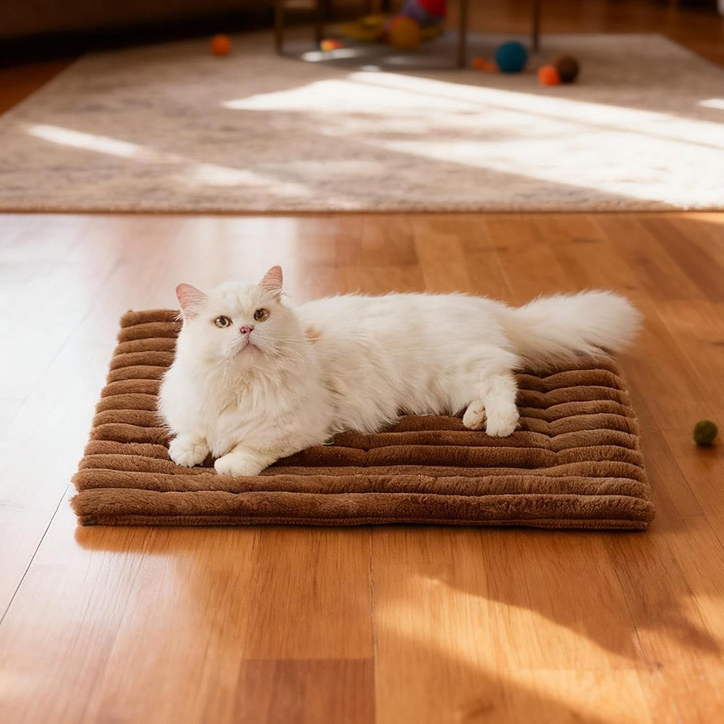 Comfortable Pet Mat - Breathable Dog Mat, 24.02x17.72 inches Dog Crate Pad, Cloth Material Cat Mats with Removable Cover, Soft Cat Bed, Crate Mattress for Small Medium Dogs and Cats