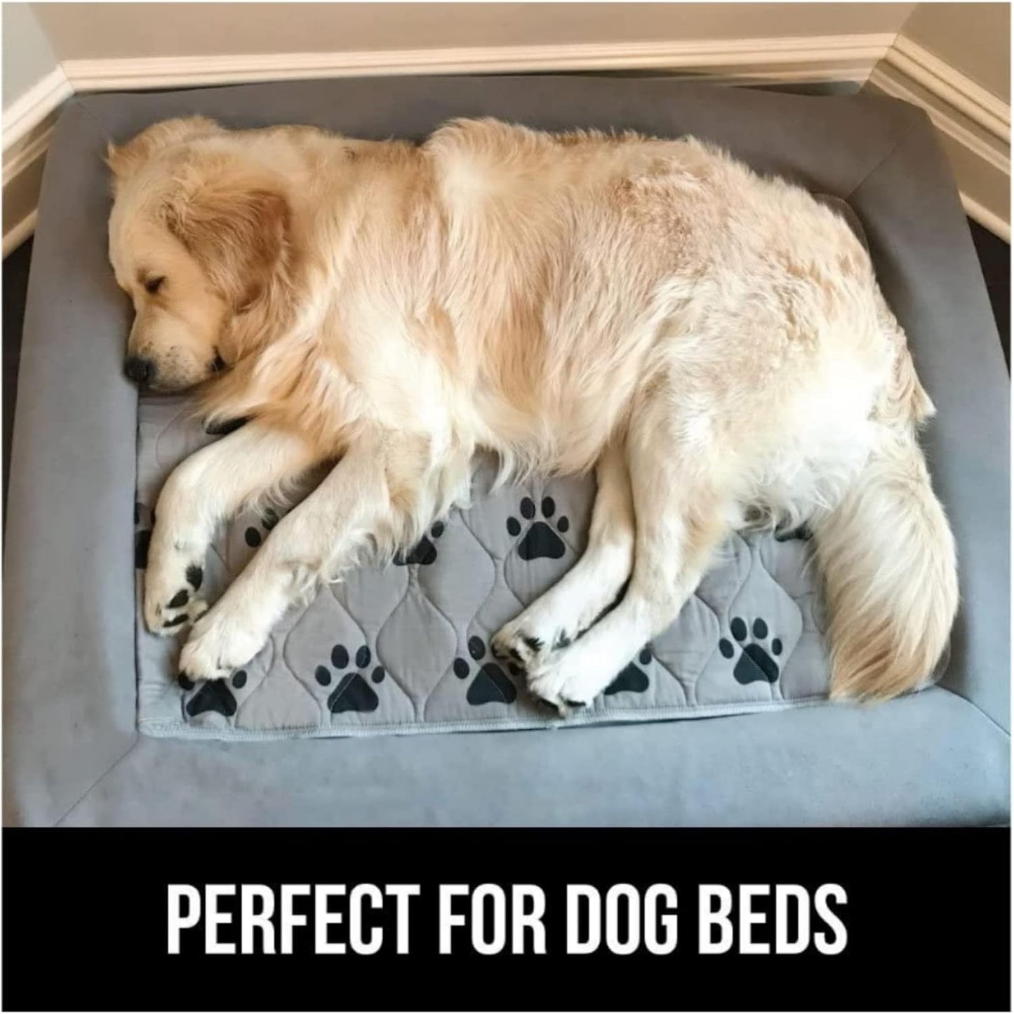Mr. Peanut's Washable Pee Pads for Dogs – 3 Pack Reusable Puppy Pet Training Pads – Waterproof Super Absorbing Pet Carrier Protector Mat