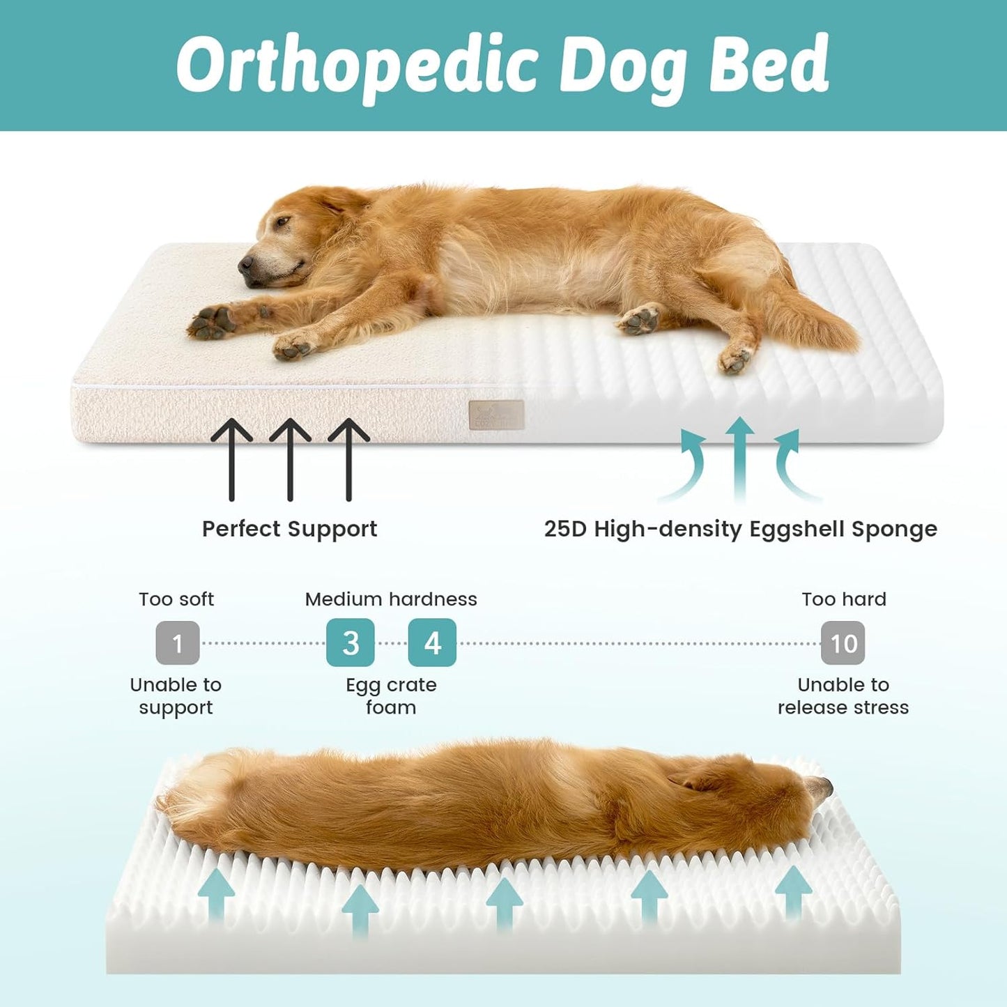 Dog Crate Bed for Large Size Dogs, Rectangular Orthopedic Dog Beds, Foam Anti-Slip Bottom Pet Mat with Washable Removable Cover, Suitable for Pet Up to 75 lbs, 36x27x3 inch, Beige