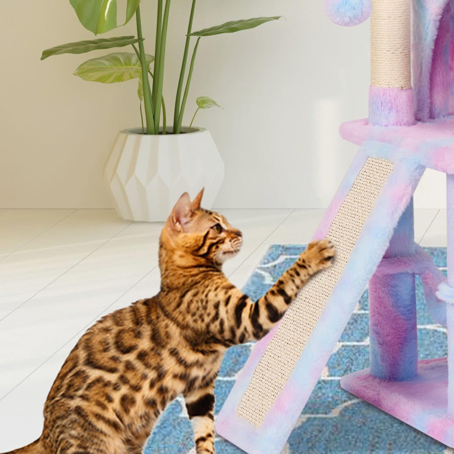 MIAO PAW Rainbow Cute Cat Tree for Indoor Cat Tower with Scratching Post Modern Activity House Hammock Hanging Ball Condo with Board
