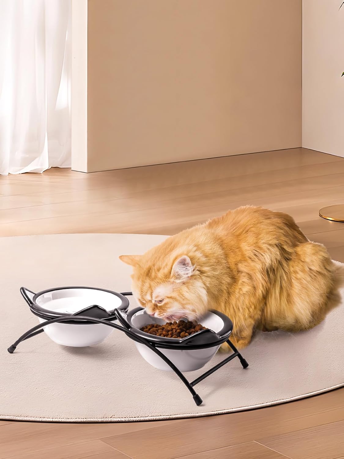 Y YHY Cat Food Bowls, 12 oz Raised Cat Bowls for Food and Water,Ceramic Elevated Pet Dishes Bowls with Stand, Cats and Small Dogs, Dishwasher Safe
