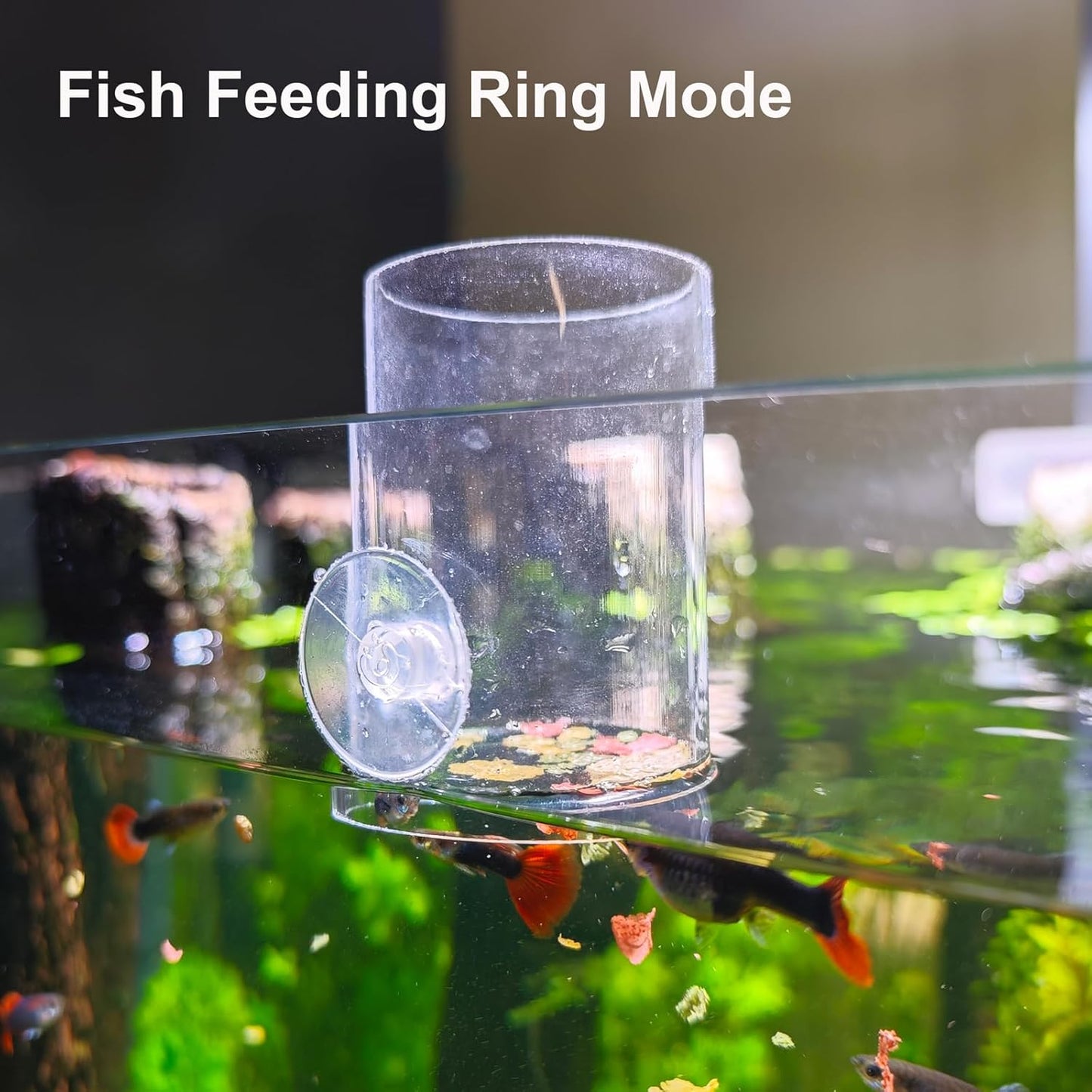 Fish Feeder, Baby Brine Shrimp Sieve,Blood Worms Feeder, Feeding Ring,Floating Food Dispenser with Suction Cup Mount & Floating Ring Set of 3 Sizes Ideal for Feeding Brine Shrimp,Blood Worms