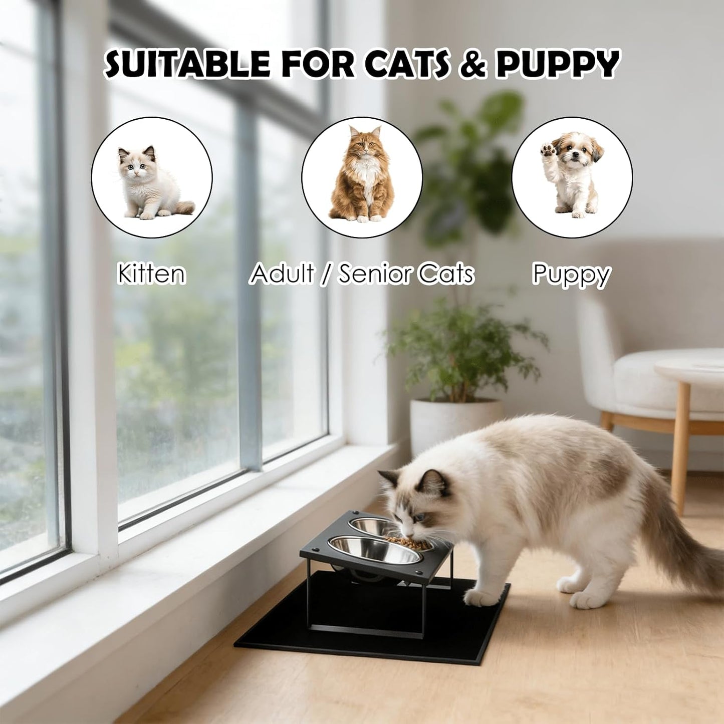 Elevated Cat Bowls with Splash Proof Mat for Kitten Puppy, 10° Tilted Raised Bowl Stand Anti-Vomiting, 2 Wide Shallow Stainless Steel Bowls, Whisker Friendly, 3.5" Tall