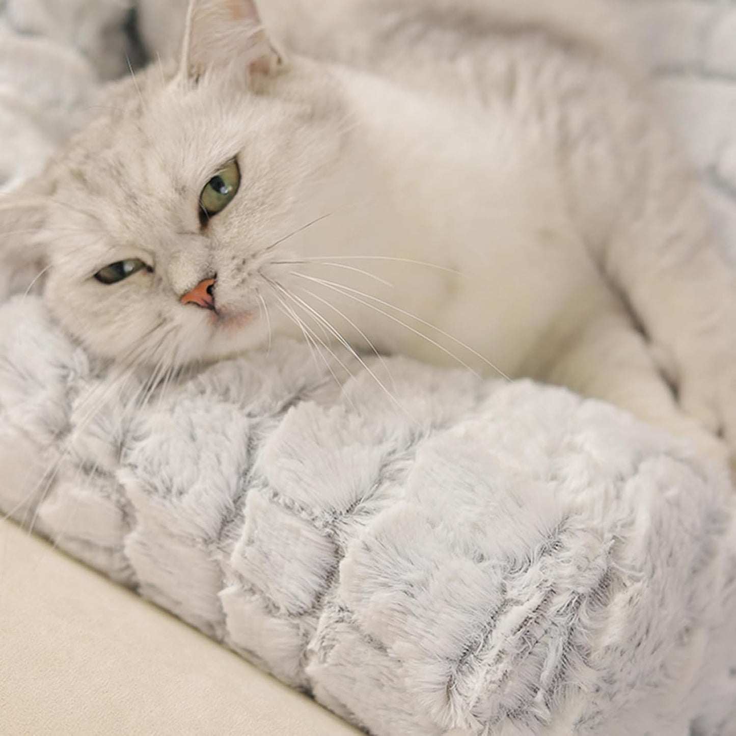 Dog Bed Couch Protector, Non Slip Raised Edge, Calming Pet Bed with Soft Padding, Memory Foam Dog Beds for Home Furniture Protection, Plush Beds for Indoor Relaxation, Removable Washable Cover