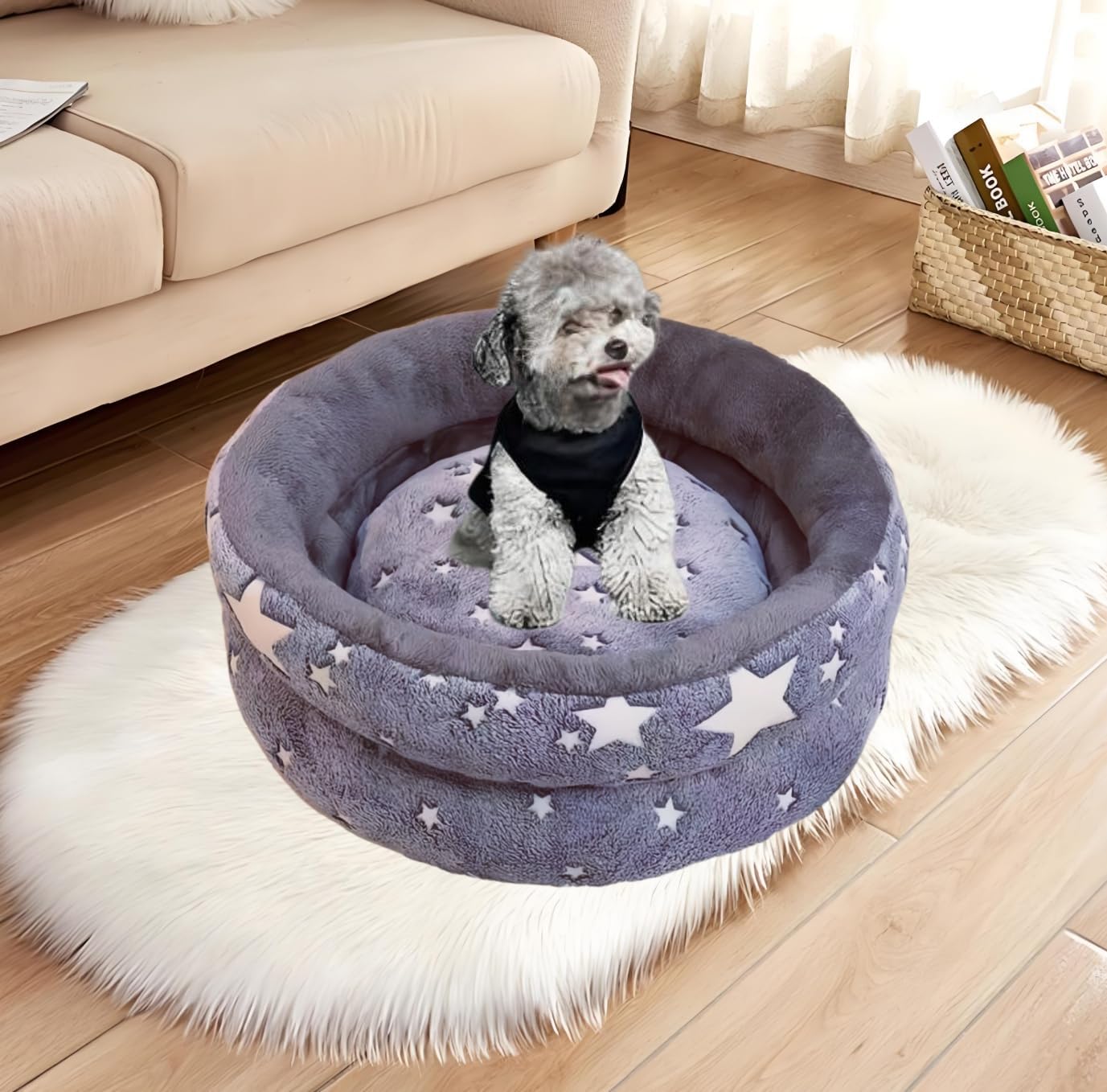 Dog Beds for Small Dogs -Cute Cat Beds for Indoor Cats Calming Pet Beds, Circle Orthopedic Cuddle Puppy Bed with Jacquard Shaggy Plush & Anti Slip Bottom，Dark Grey-Medium
