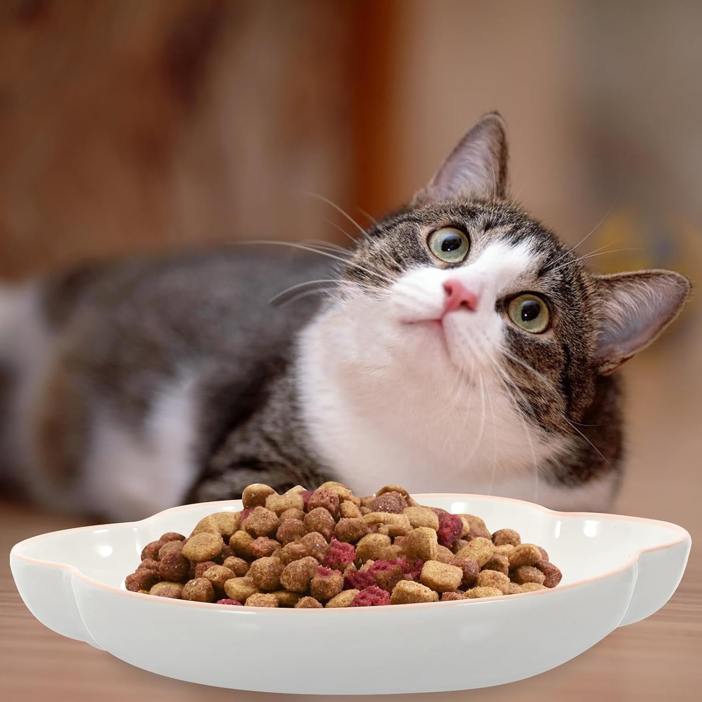 Milisten Ceramic Cat Bowl 9-inch Tilted Cat Feeder with Non-Spill Design Red Indoor Pet Feeding Dish