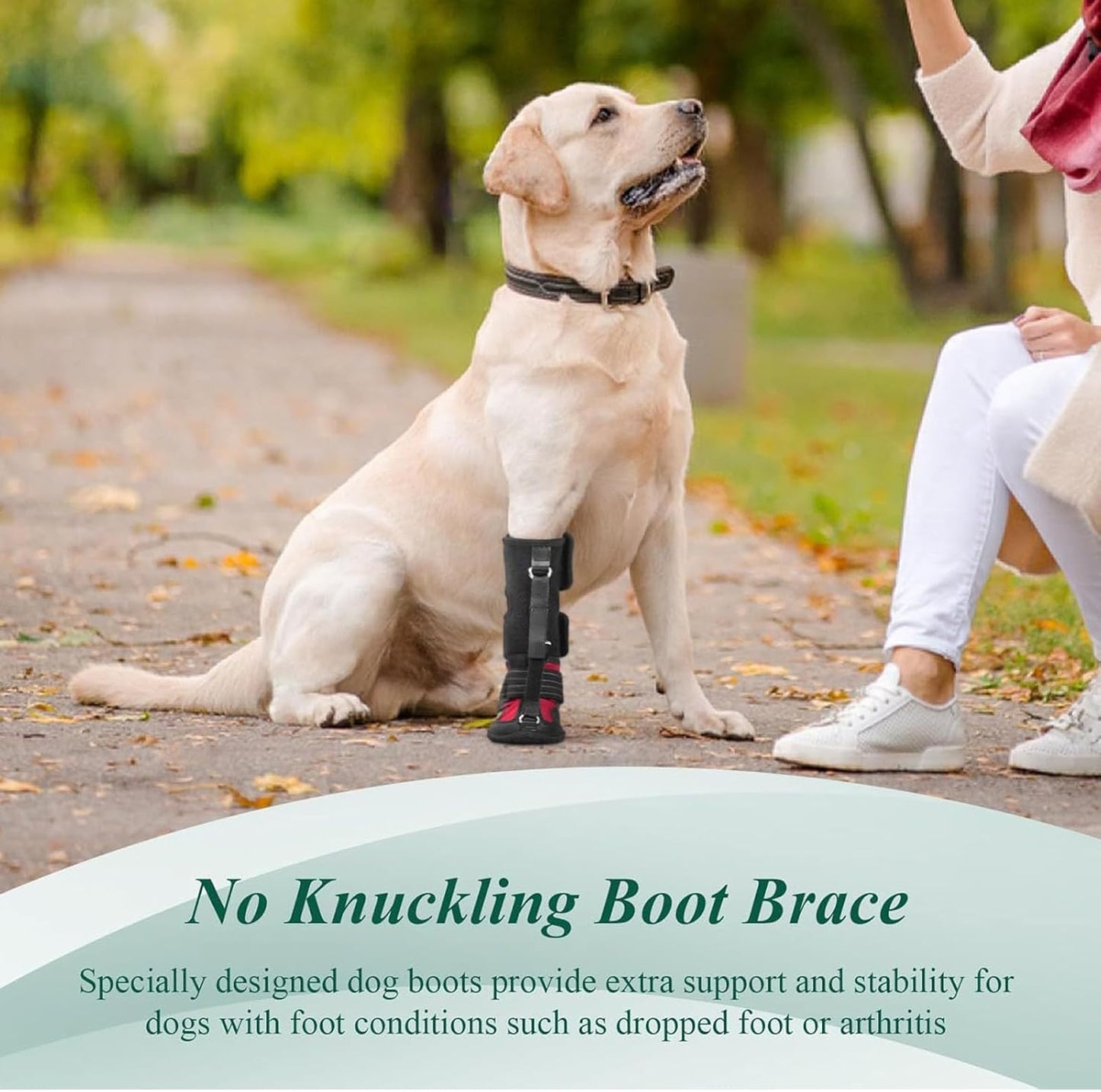 Diydeg Drop Foot Brace, Breathable Non Slip Sole Bottom Dog Boot Foot Protector, Corrective Dog Shoes to Safely Lift Toes for Foot Issues, Arthritis, Improving Walking Gait in Dogs (M)