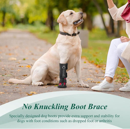 Diydeg Drop Foot Brace, Breathable Non Slip Sole Bottom Dog Boot Foot Protector, Corrective Dog Shoes to Safely Lift Toes for Foot Issues, Arthritis, Improving Walking Gait in Dogs (M)