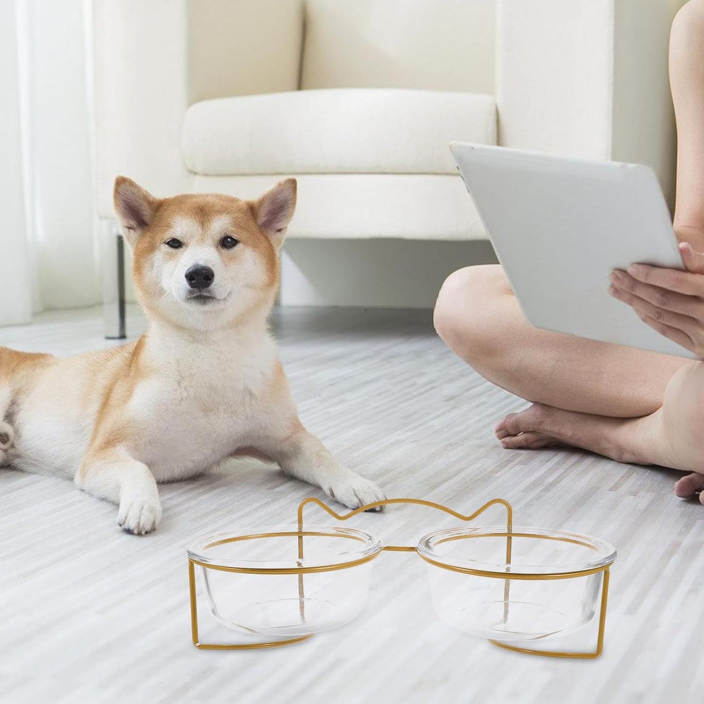 PRETYZOOM Double Raised Pet Feeding Bowls with High Tilt Glass Design and Elevated Stand, Non-Skid Cat and Dog Food Bowls for Healthy Eating, Suitable for Cats and Small Dogs