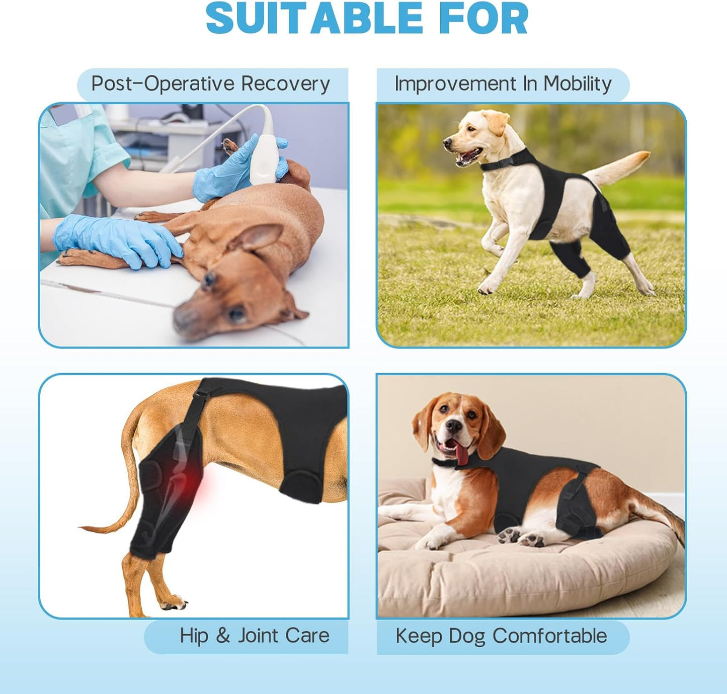 Dog Knee Braces for Back Leg, Adjustable Leg Brace with 2 Stabilizers, Hip Support to Reduces Pain, Ligament Injuries, ACL CCL & Luxating Patella for Small Medium Large Dogs, XL-L