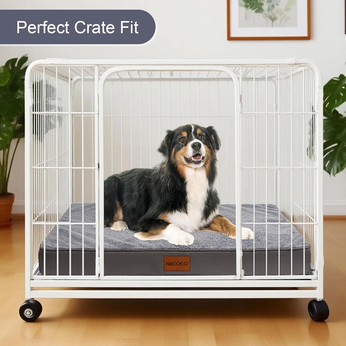 NACOCO Orthopedic Dog Bed for Medium Large Dogs, Waterproof Dog Crate Mat with Removable Washable Cover, 35D High-Density Foam Support, Non-Slip Bottom & Flannel Top, for Elderly Dogs, Grey, 35"x24"