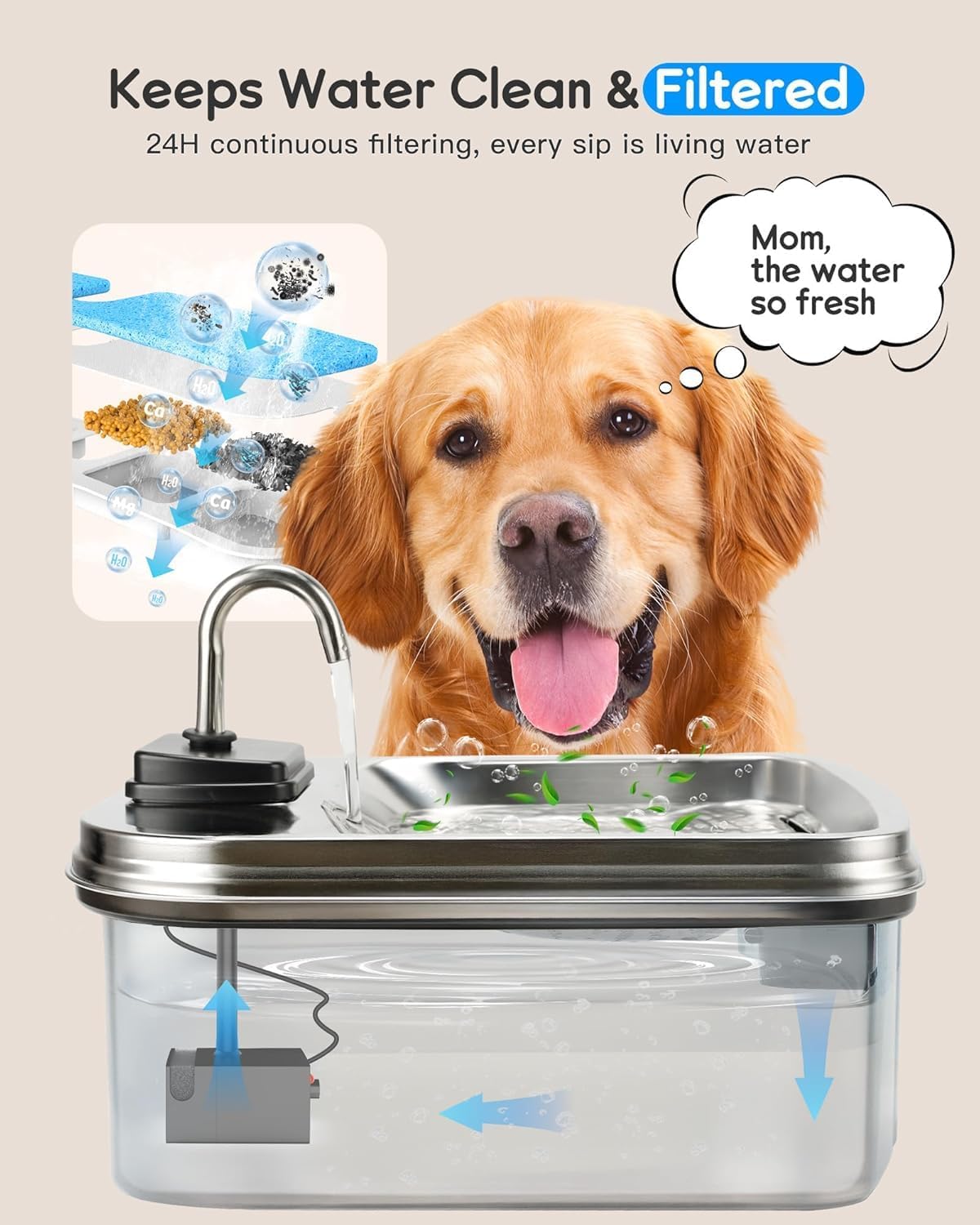 Stainless Steel Pet Fountain with Charcoal Filter, Includes Bone Treats, 16 x 10 x 10 in