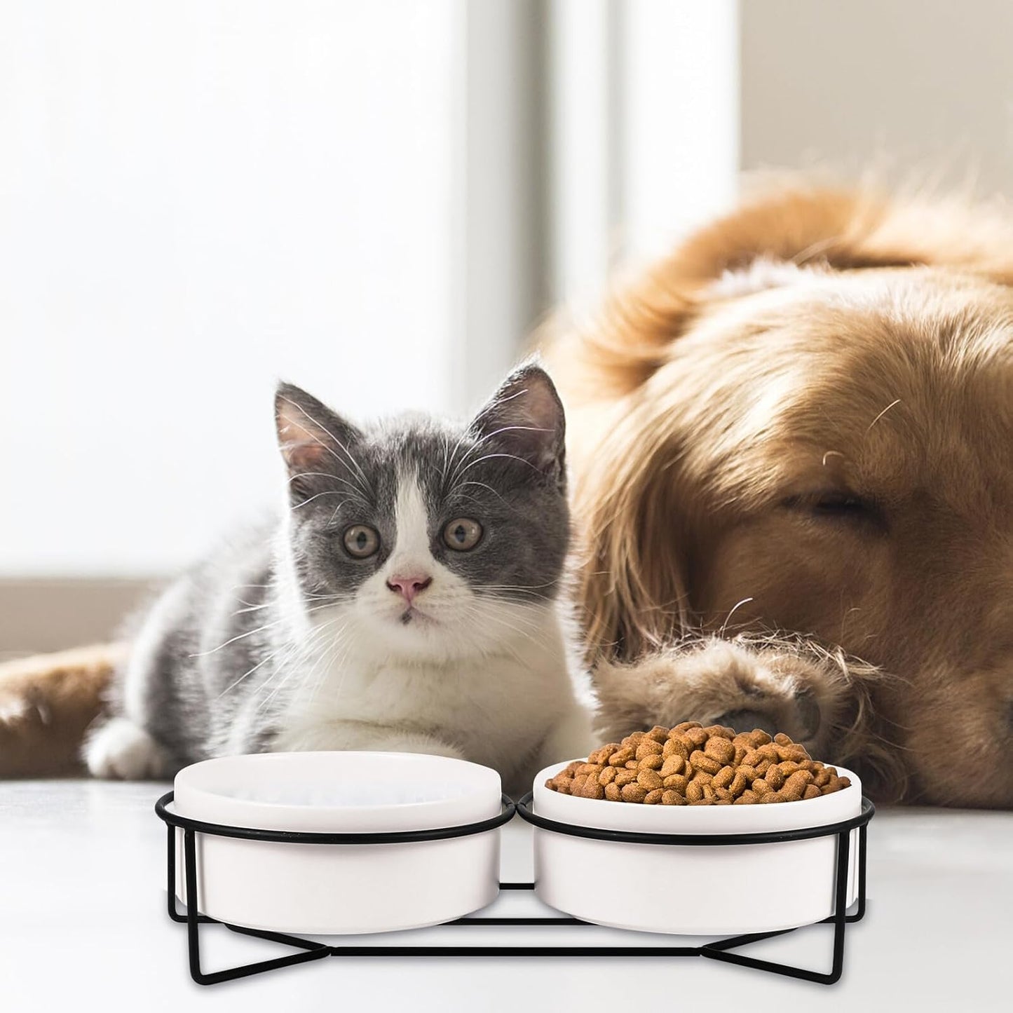 Milisten Double Ceramic Pet Feeding Bowls with Raised Iron Stand 13cm, Spill-Resistant Cat and Dog Food Water Bowls for Home Use