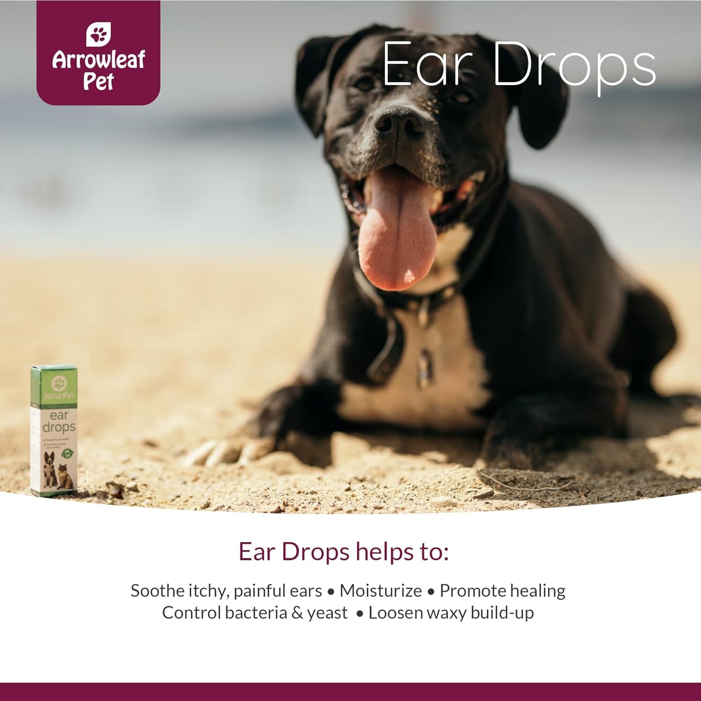 Ear Drops | Healthy Ear Support for Cats and Dogs | Itchy Ears | Cleaning | Swimming | 100mL