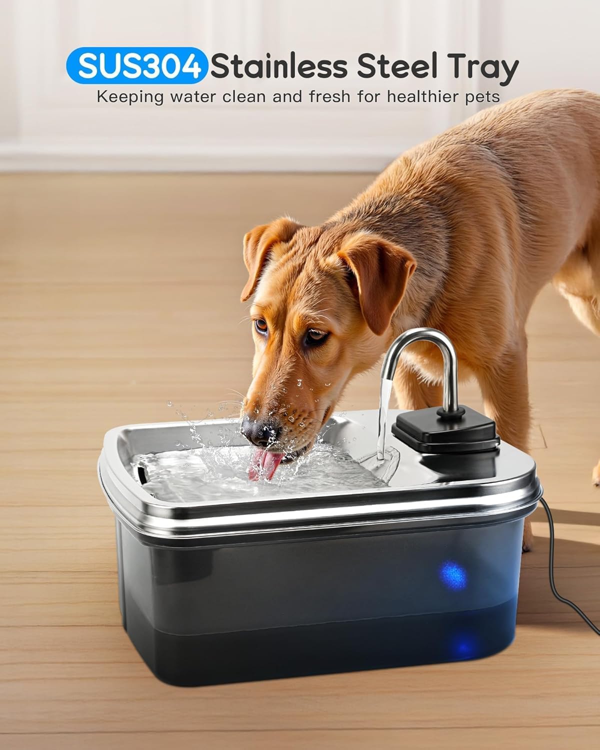 Stainless Steel Pet Fountain with Charcoal Filter, Includes Bone Treats, 16 x 10 x 10 in