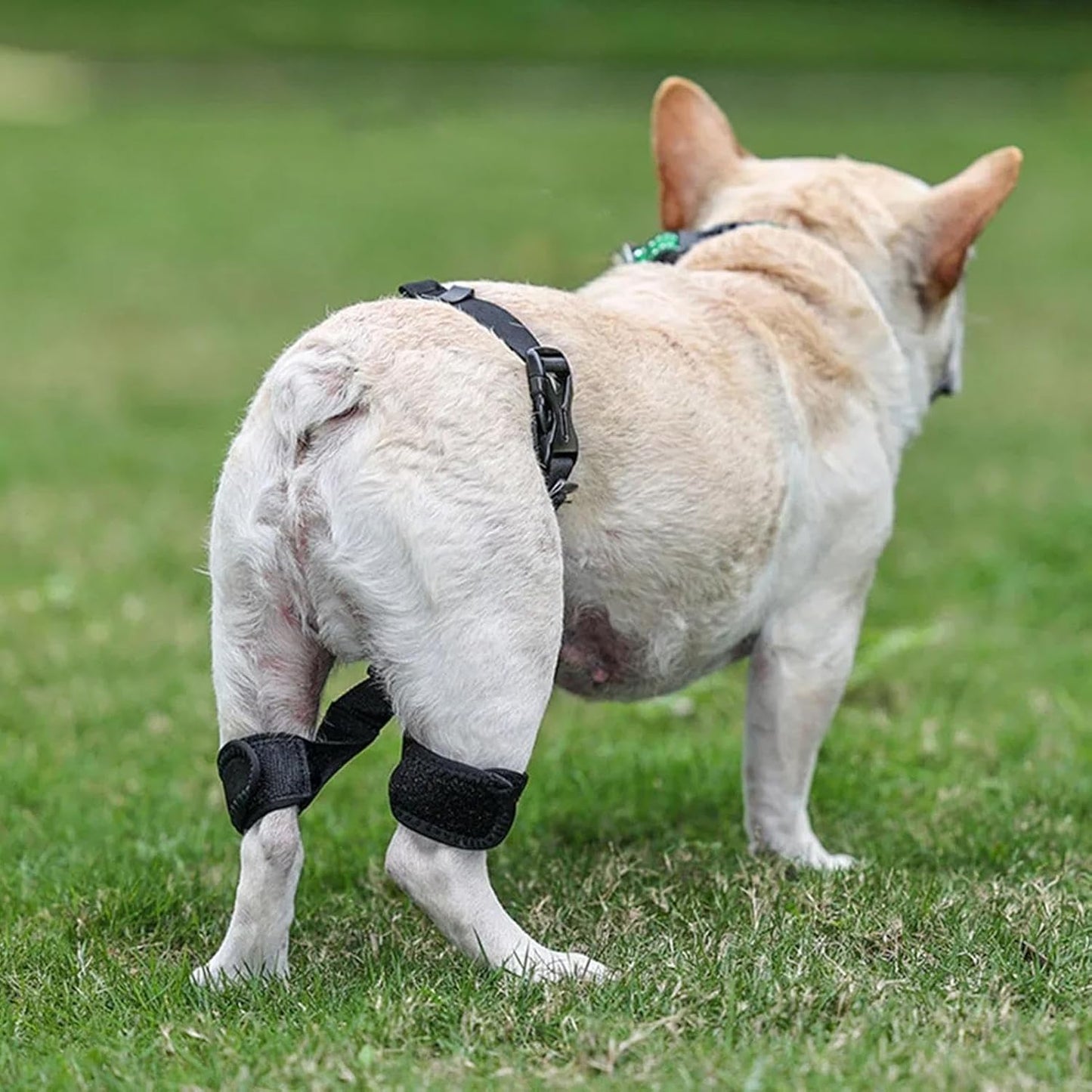 Hip Support for Dogs - Pet Correction Aid, Breathable Hip Belt Lift Brace, Auxiliary Dog Harness, Walking Travel Outgoing Assistance, Home Mobility Support, Comfortable Ergonomic Dog Recovery Gear