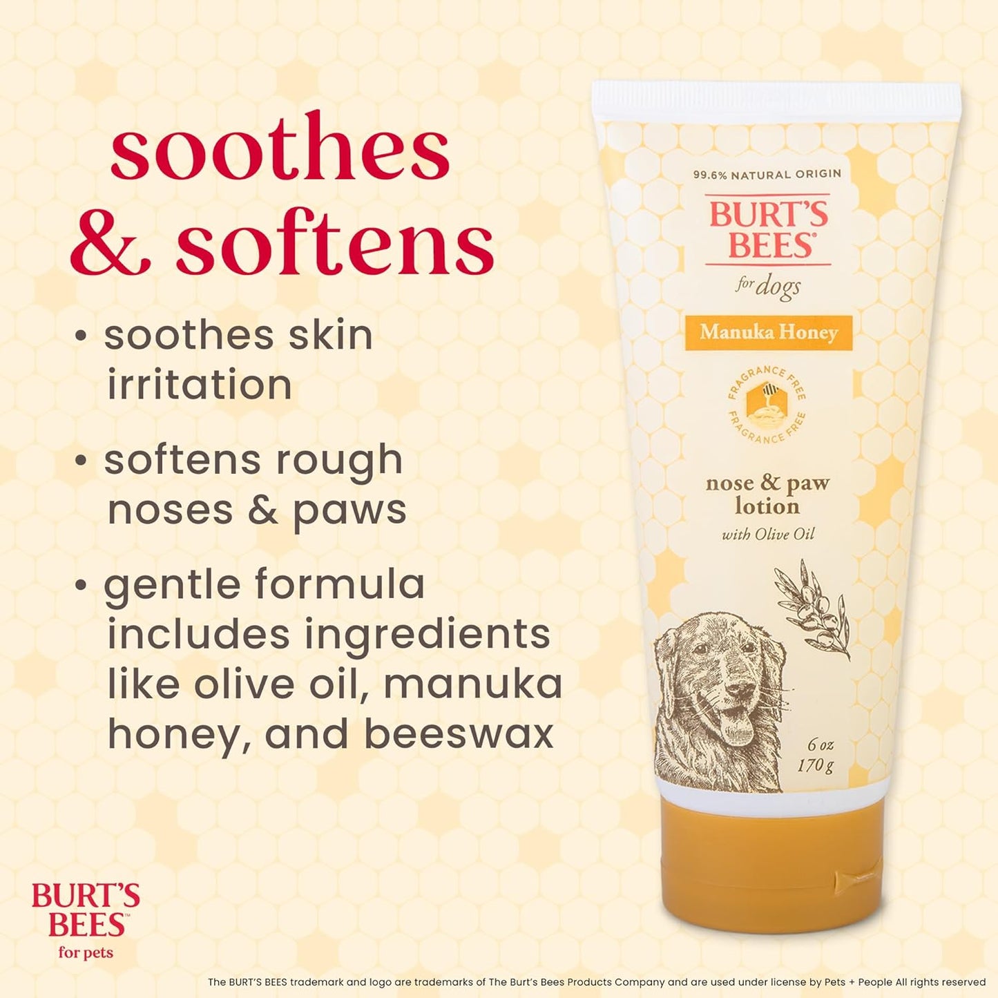 Burt’s Bees for Pets Paw & Nose Lotion for Dogs with Manuka Honey and Olive Oil, Soothes Dry Dog Paws -Naturally Derived Ingredients, 6 Oz