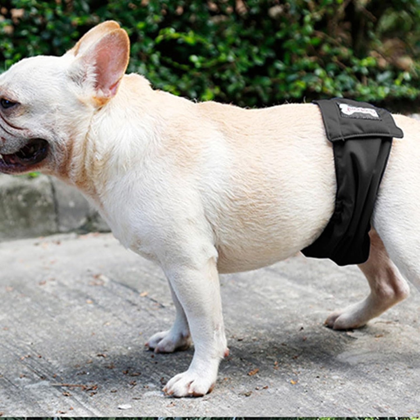 Large Dog Diaper Sanitary Physiological Pants Washable Male Dog Underwear Pet Dogs Supplies Dog Reusable Underwear