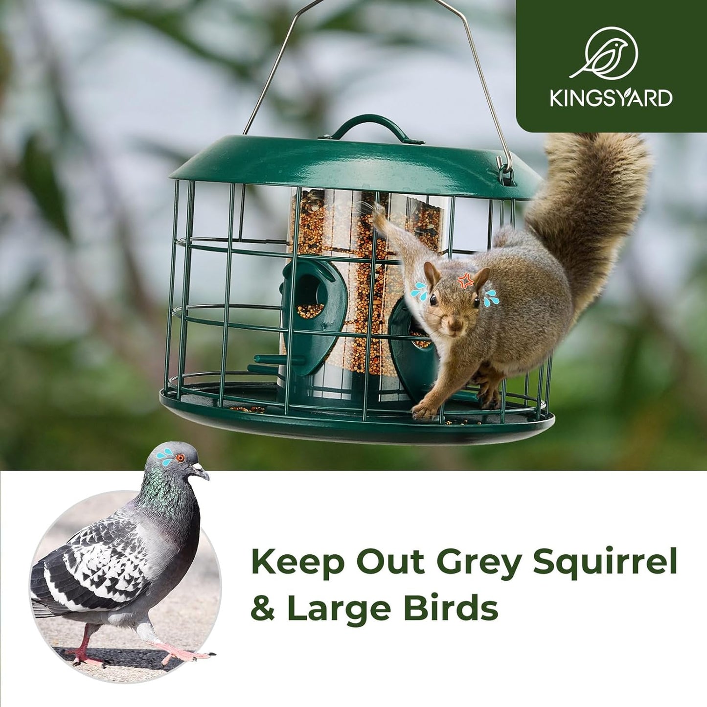Kingsyard Tube Squirrel Proof Bird Feeders for Outdoor Hanging, Metal Caged Bird Feeder with Rain Proof Covered for Wildbirds Finches Bluebird, 4 Feeding Ports, Green
