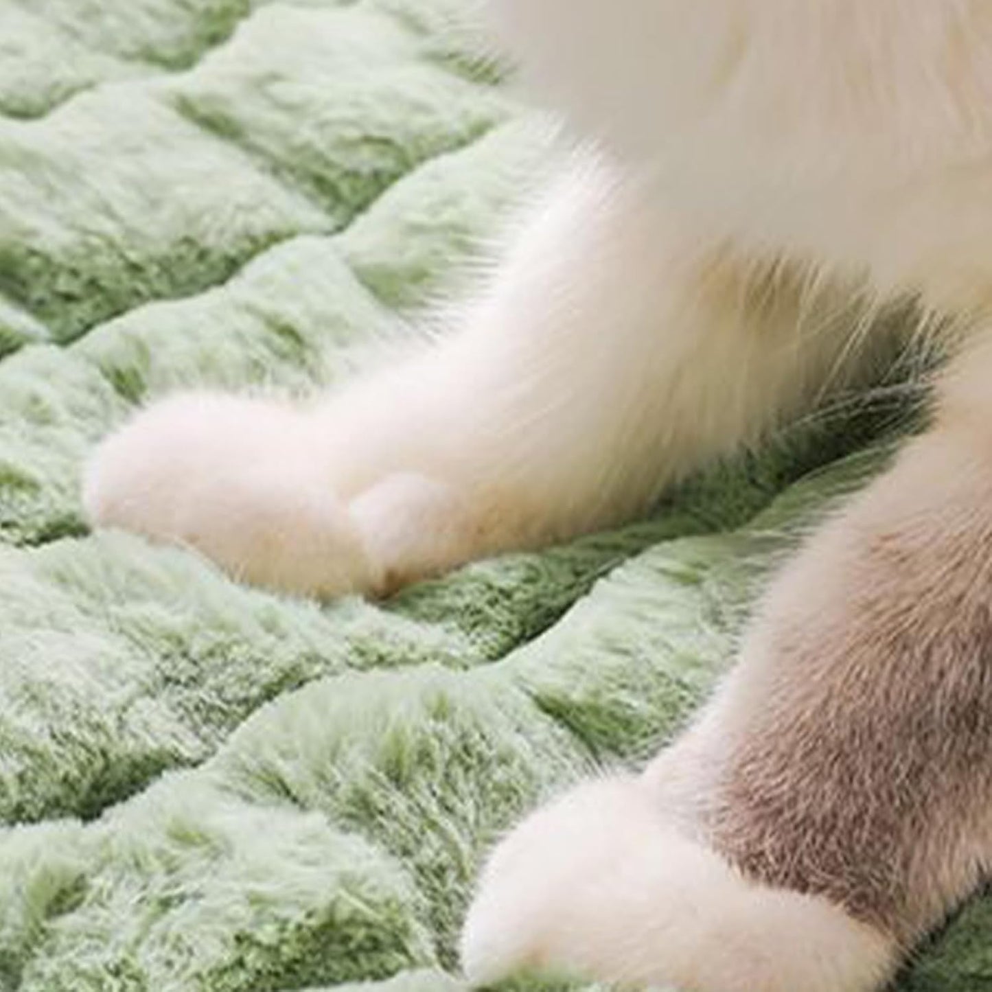 Cat Cushion - Back Support Machine Washable, Indoor Dog Cat Plush Pad, Travel Shelter Backyard Balcony RV Kennel, Sofa Floor Small Medium Large Breeds
