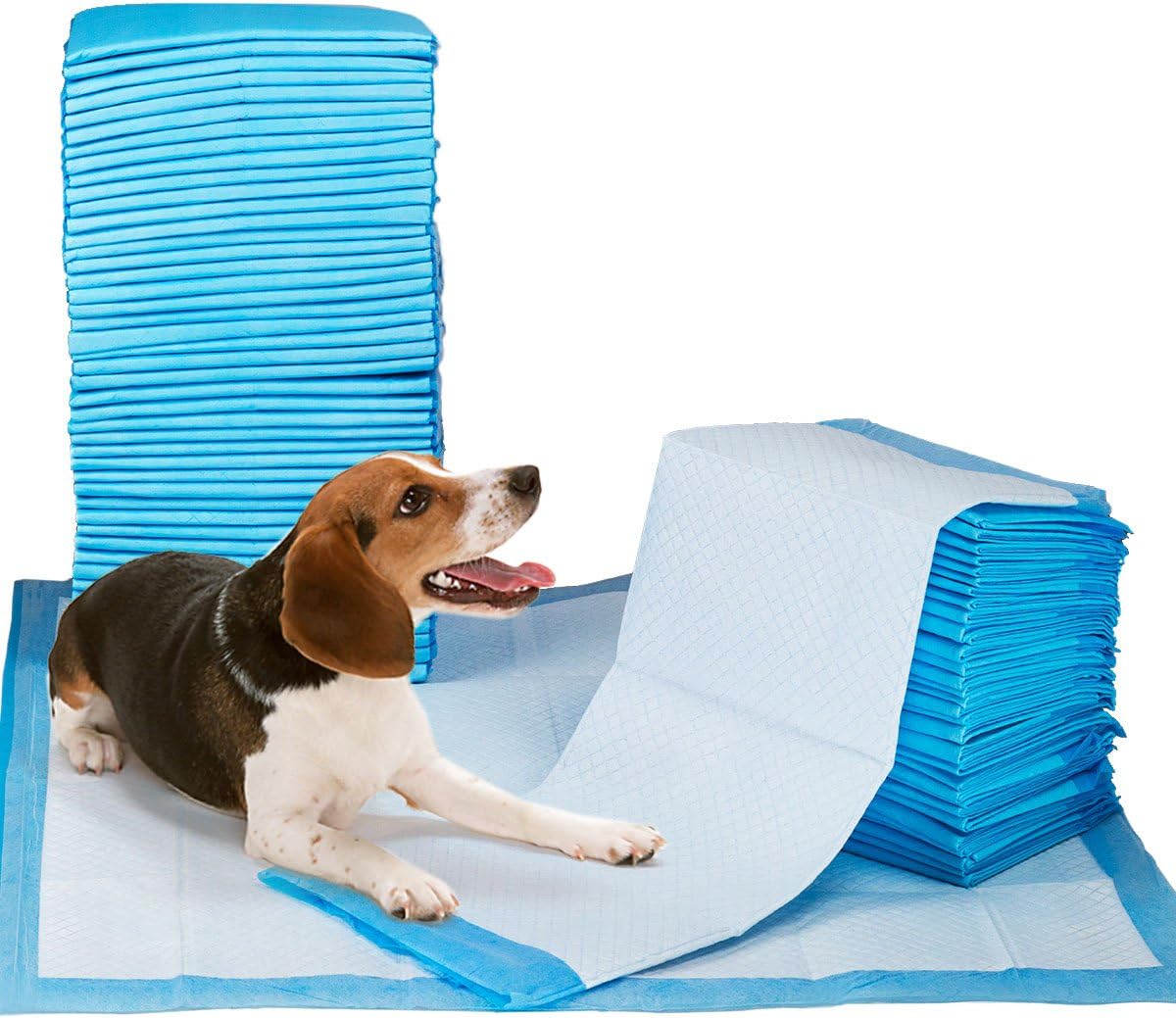 Petfamily Super-Absorbent 24 by 24 Inches Dog Training Pads - 100 Count of Pads