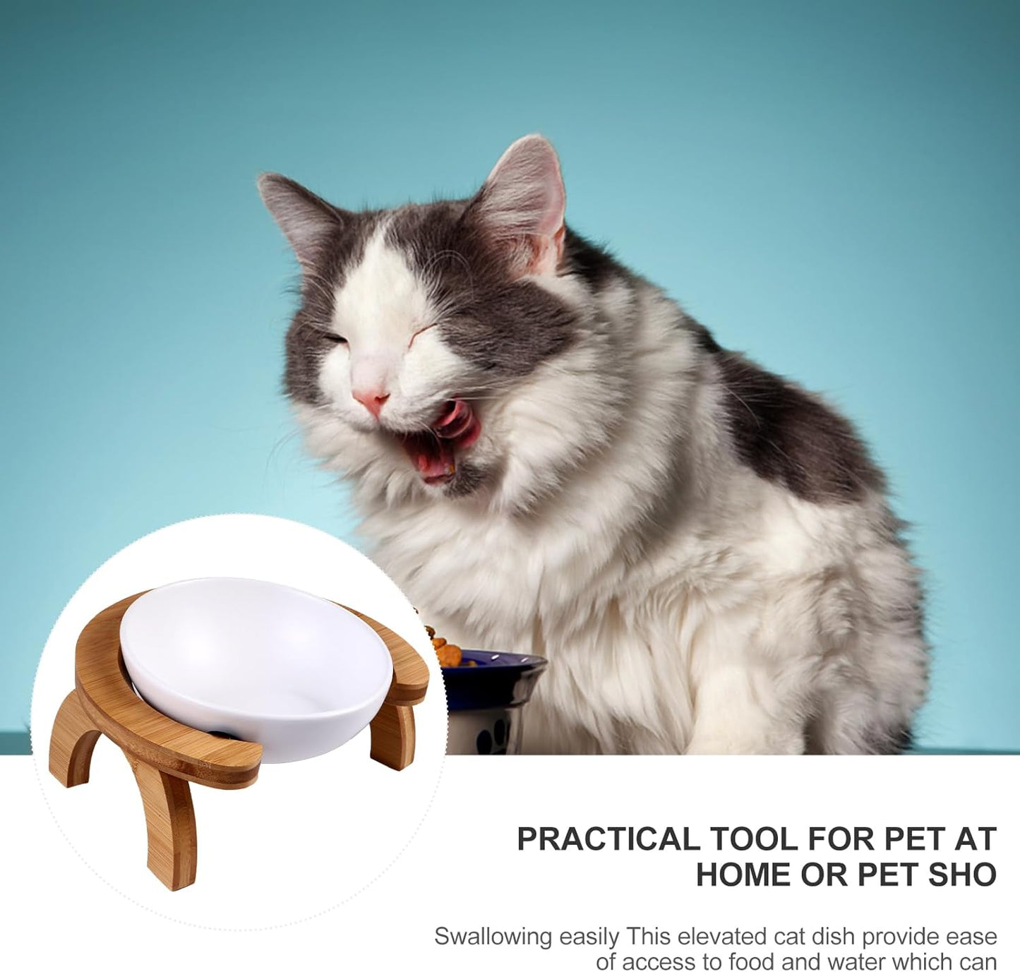 Milisten Pet Feeding Bowl Set 300ml Slanted Raised Cat Feeder with White Food Bowl and Rainbow Wooden Stand for Indoor Cats and Kittens