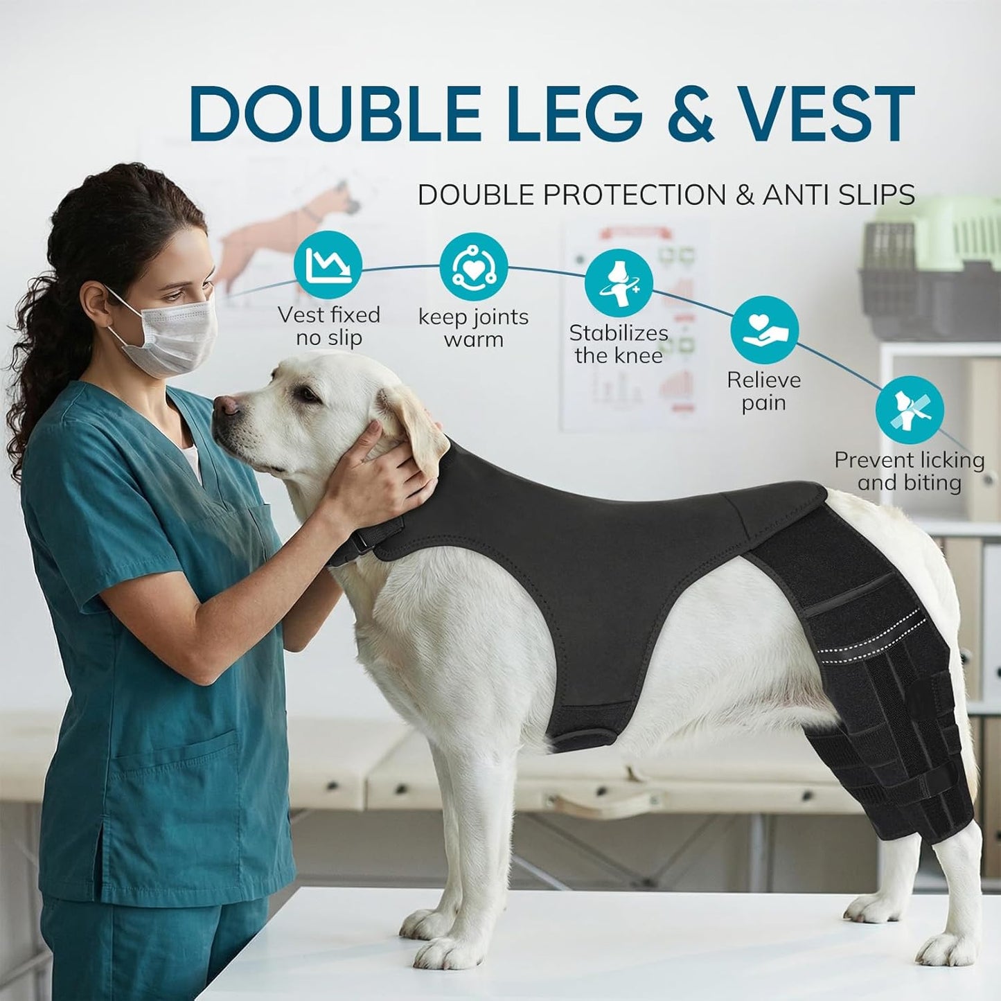Adjustable Dog Knee Brace for ACL Tear and Arthritis Recovery - Dual Hind Legs Support with Harness Connection - Orthopedic Leg Wrap for Joint Stability and Pain Relief in Small to Large Dogs (M)