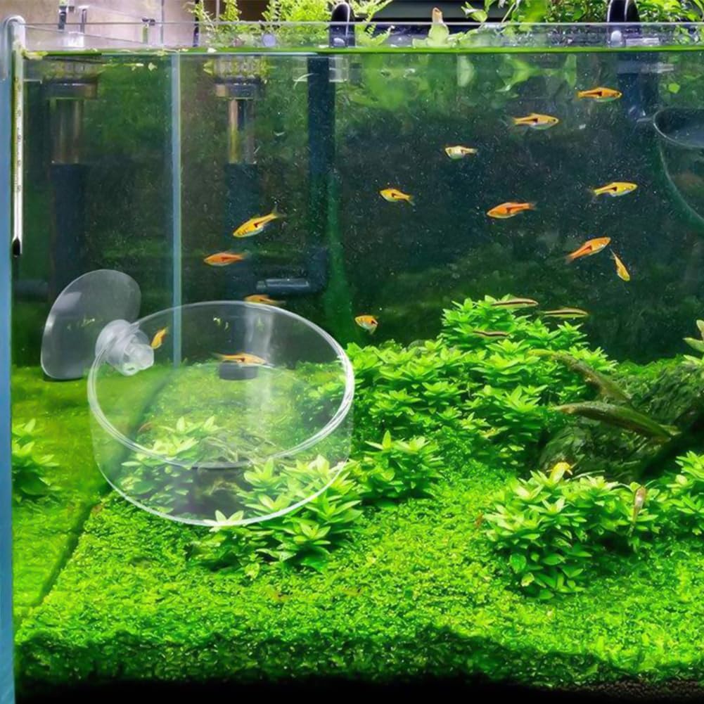 2 Pack 60mm Aquarium Shrimp Feeder Dish with Suction Round Clear Fish Tank Food Tray Container Feeder Bowl Prevent Food Spilling