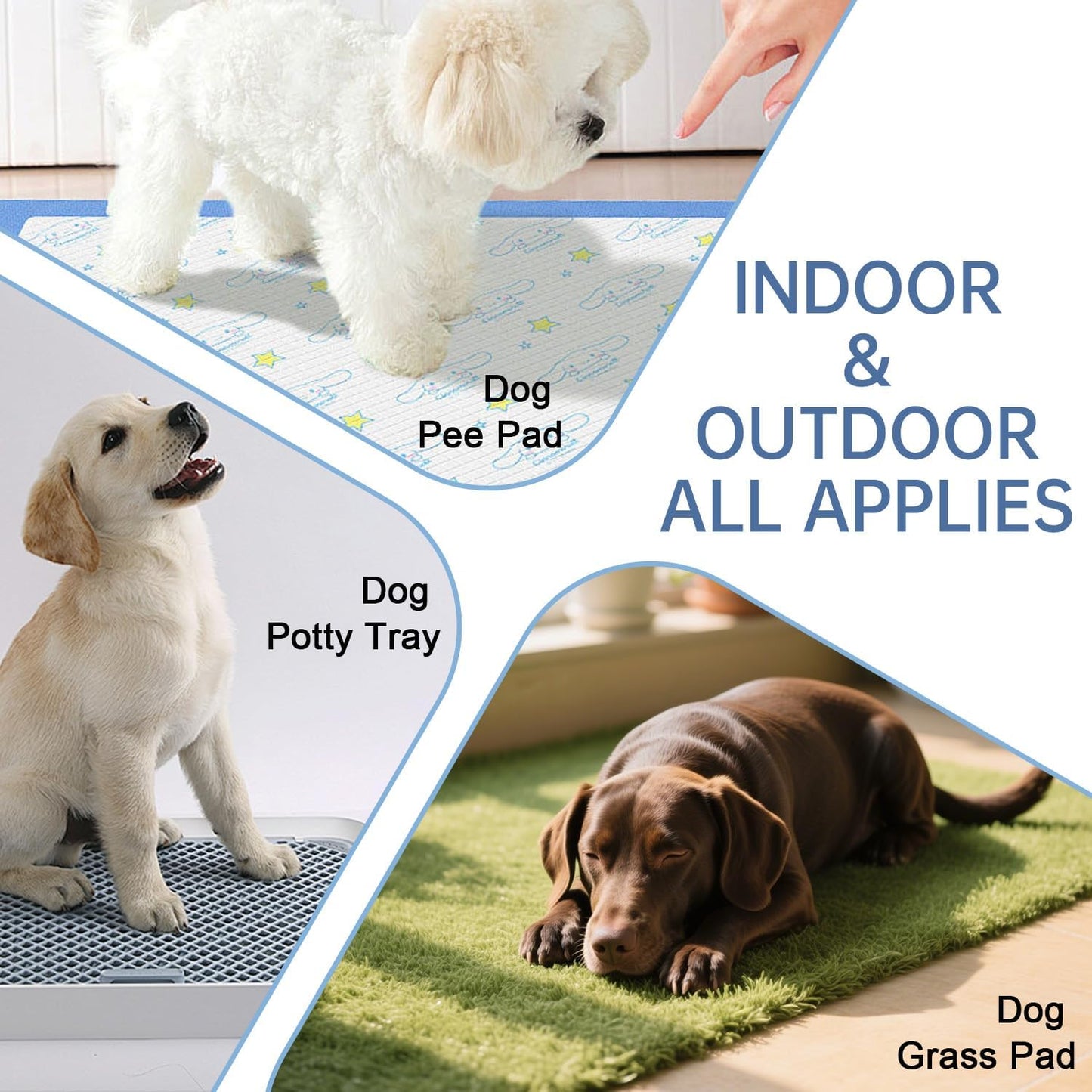 Potty Training Spray for Dogs Dog Potty Training Spray Go Here Dog Potty Training Spray Address Canine Inappropriate Elimination Habits for Indoor & Outdoor Environments (Blue)