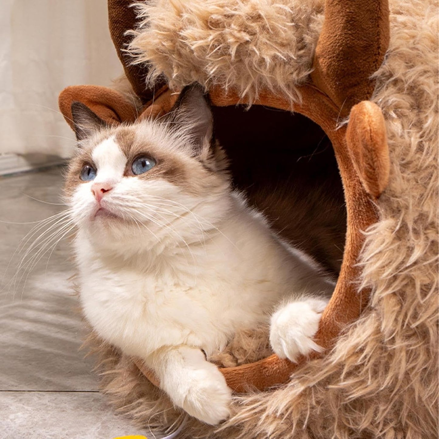 Cat Cave Bed for Indoor Cats, Winter Shaped Cat Cave, Semi Enclosed Indoor Cats Nest, Dog Tent Bed with Cover for Indoors and Outdoor Play, Pet Sleeping Space and Small Dogs